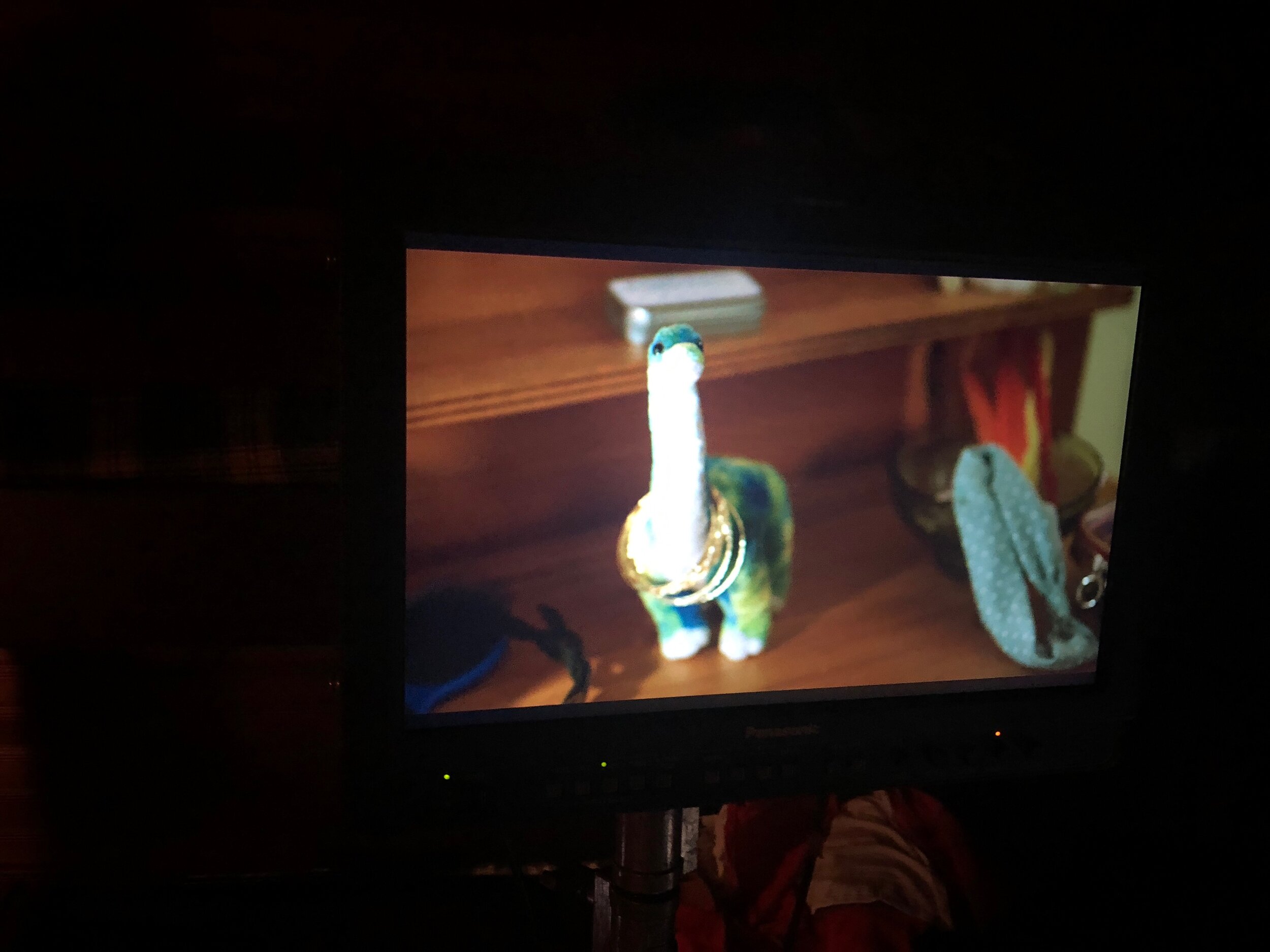 IMG_4224.jpeg