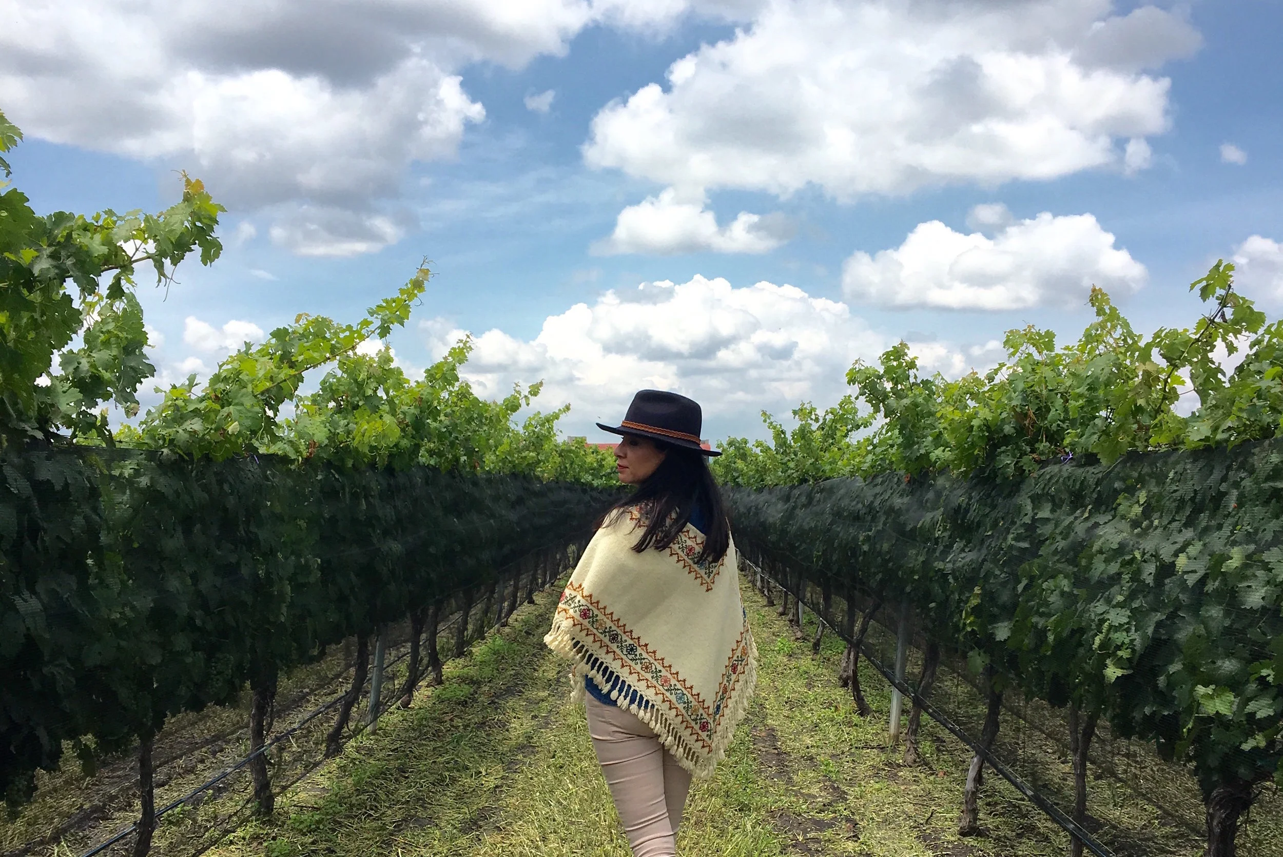 If she's not making mole on air or catching up with the farmers at her neighborhood mercado , look for Graciela between the vines. 