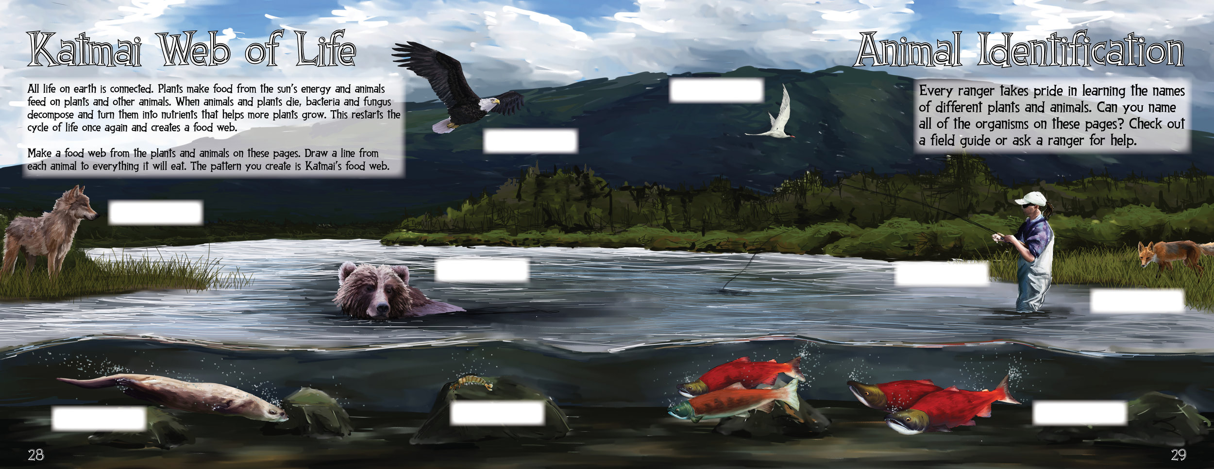 Pages 28-29.jpg