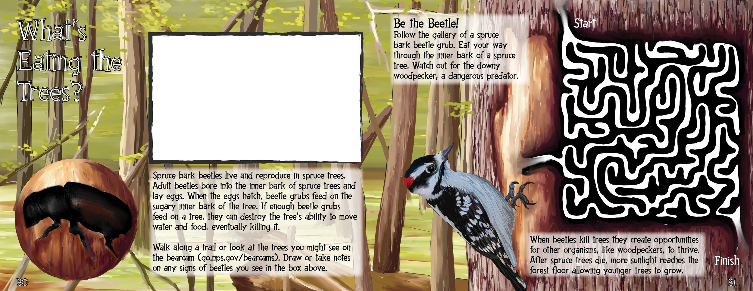 Pages 30-31.jpg