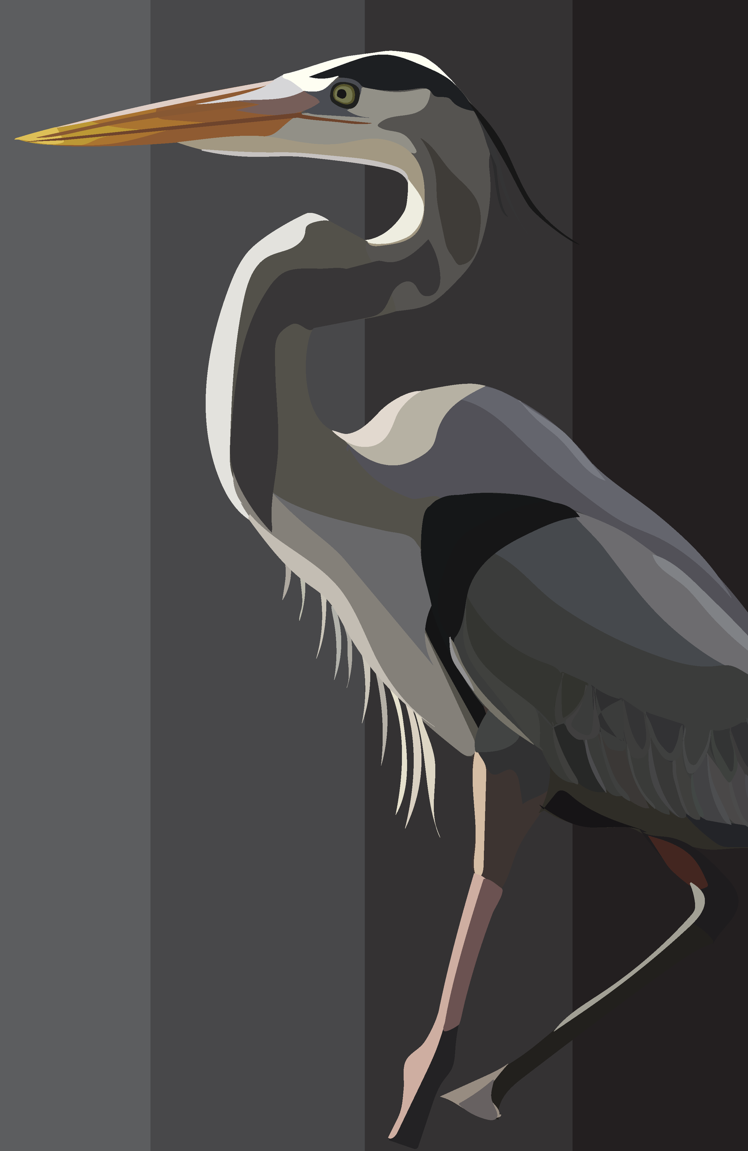 Great Blue Heron.png