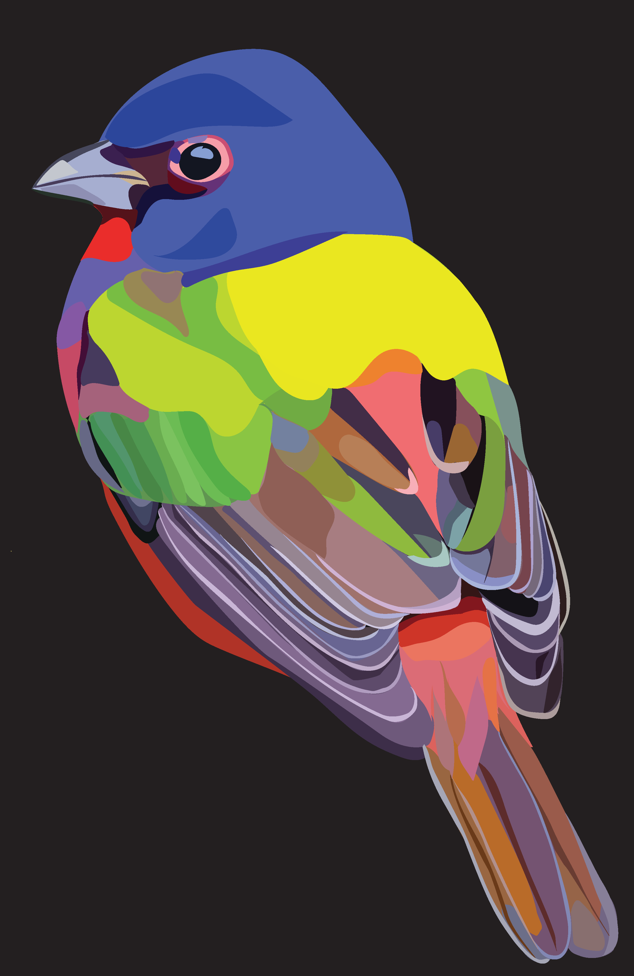 Painted Bunting.png