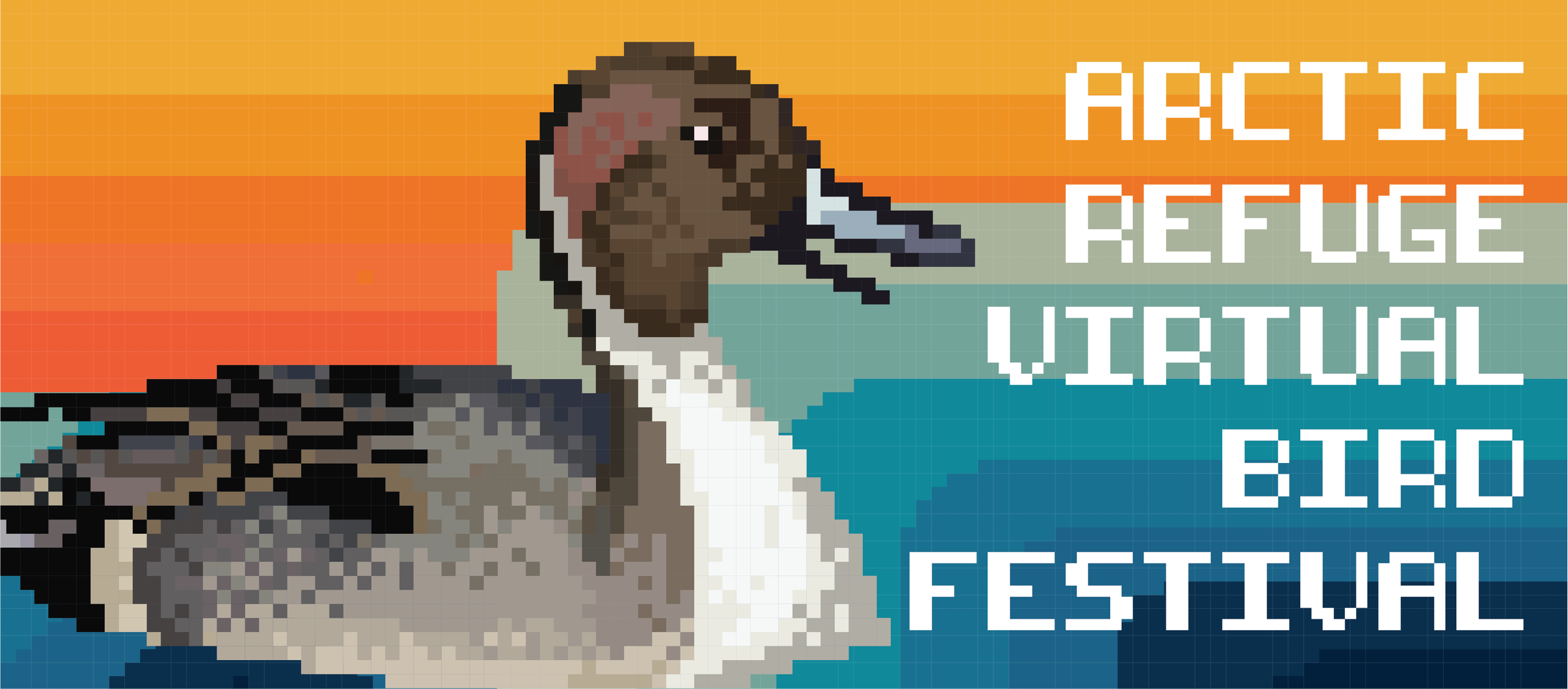 bird fest cover 1.png