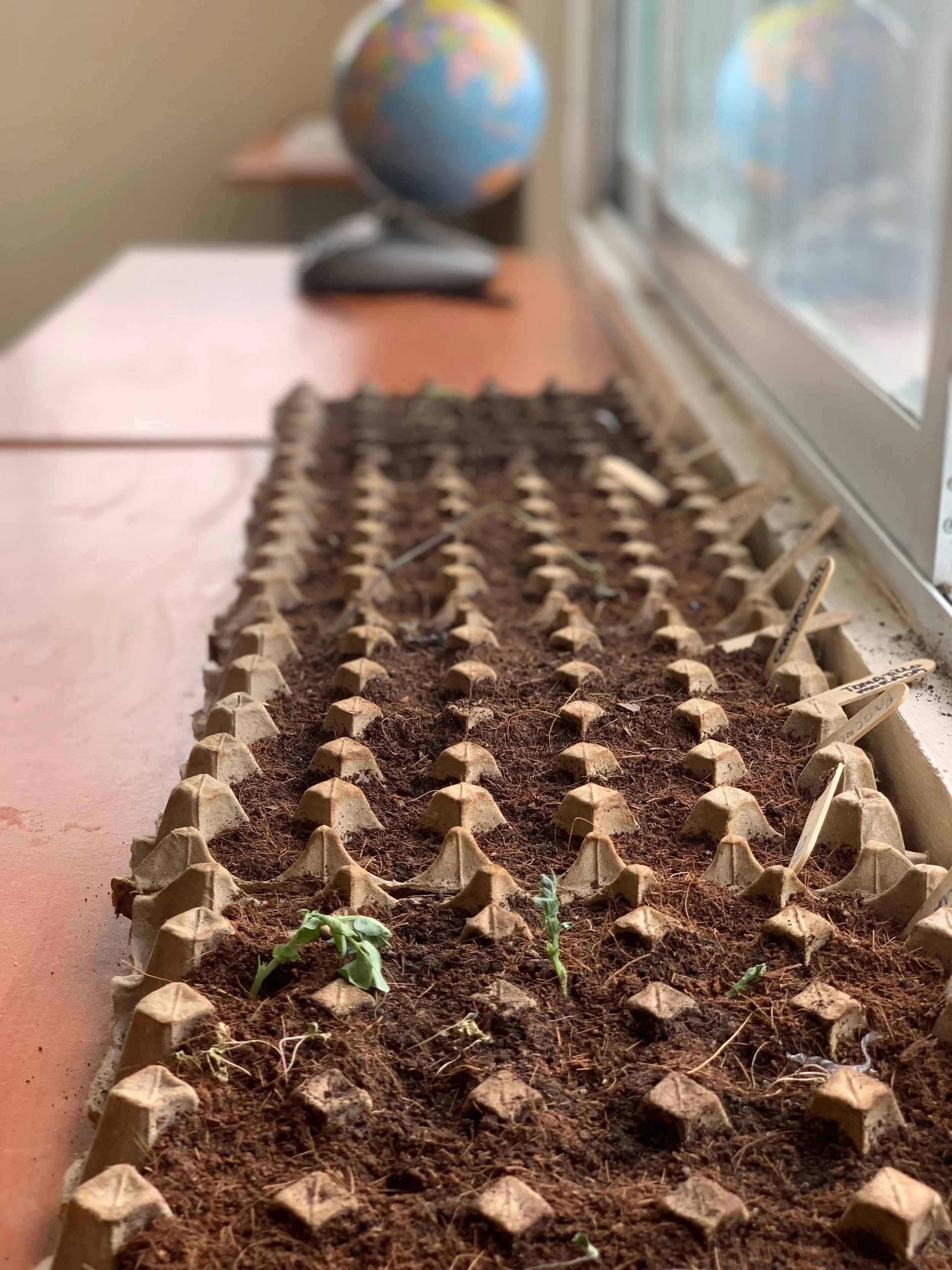 Gardens, Gardens and More Gardens 