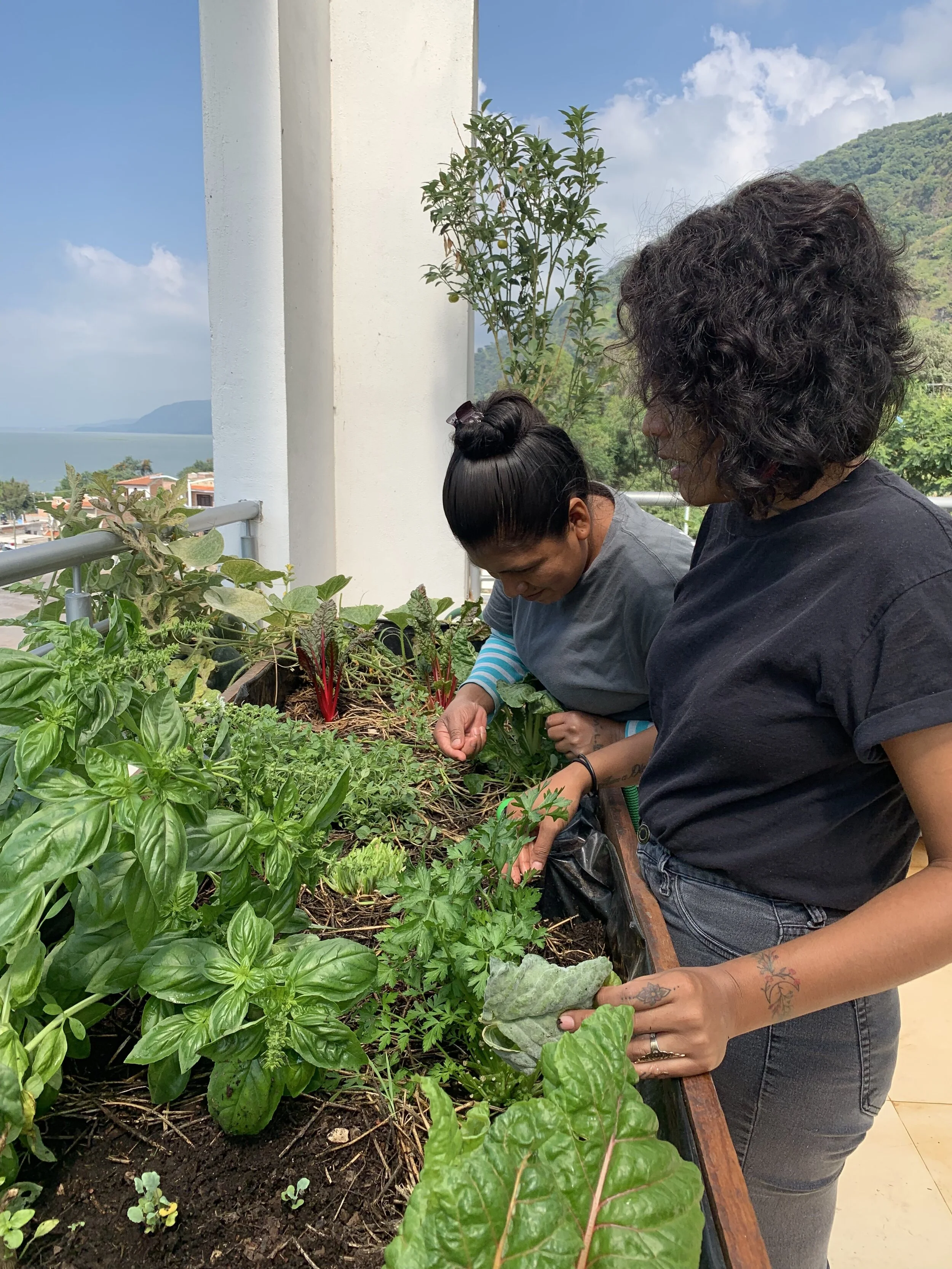 Transformative Spaces and Conversations.