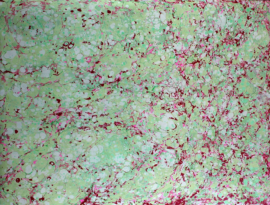 paleivy1.JPG