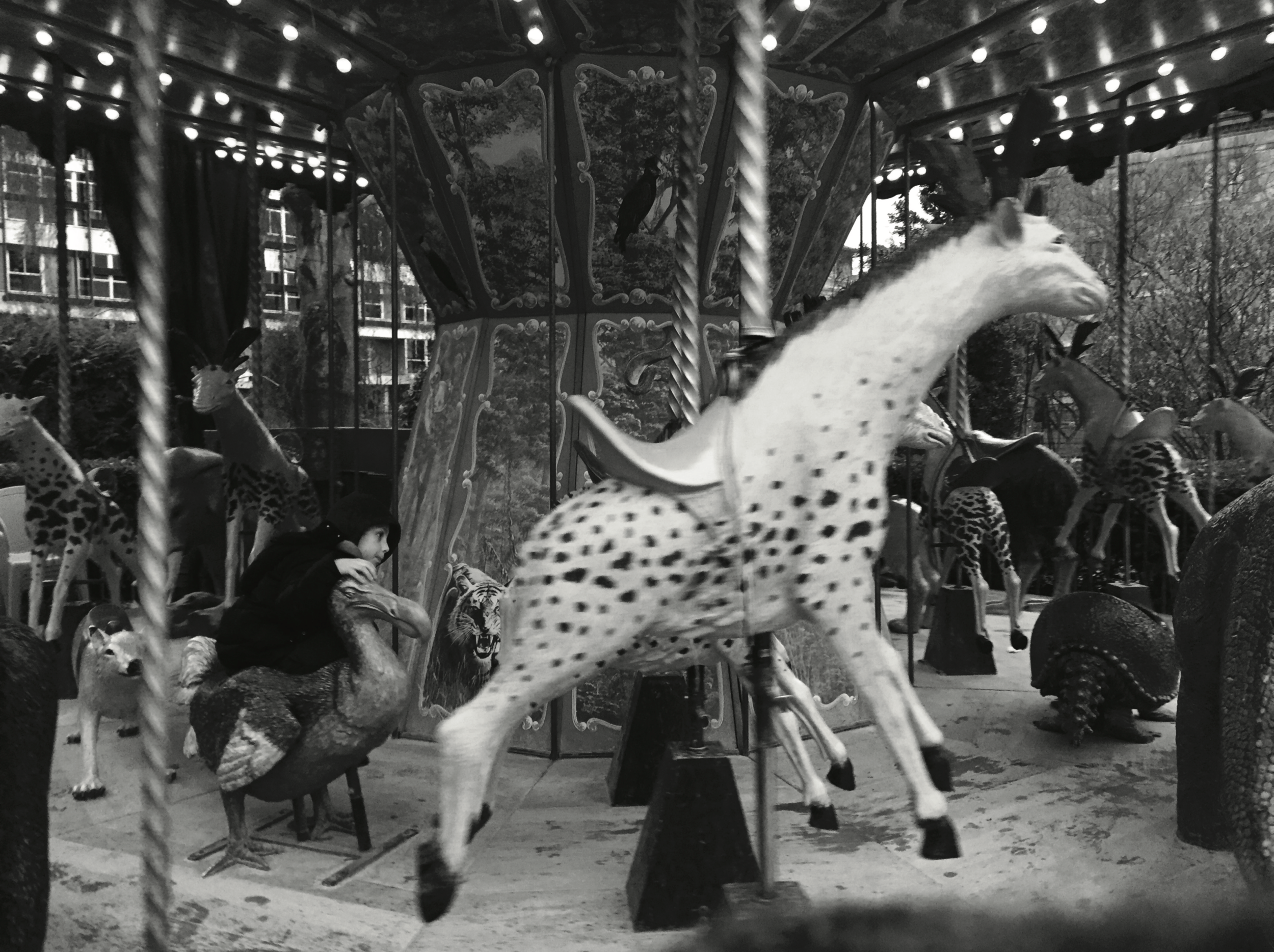 Lisa Lotito | Portfolio 4-12 (dragged).png