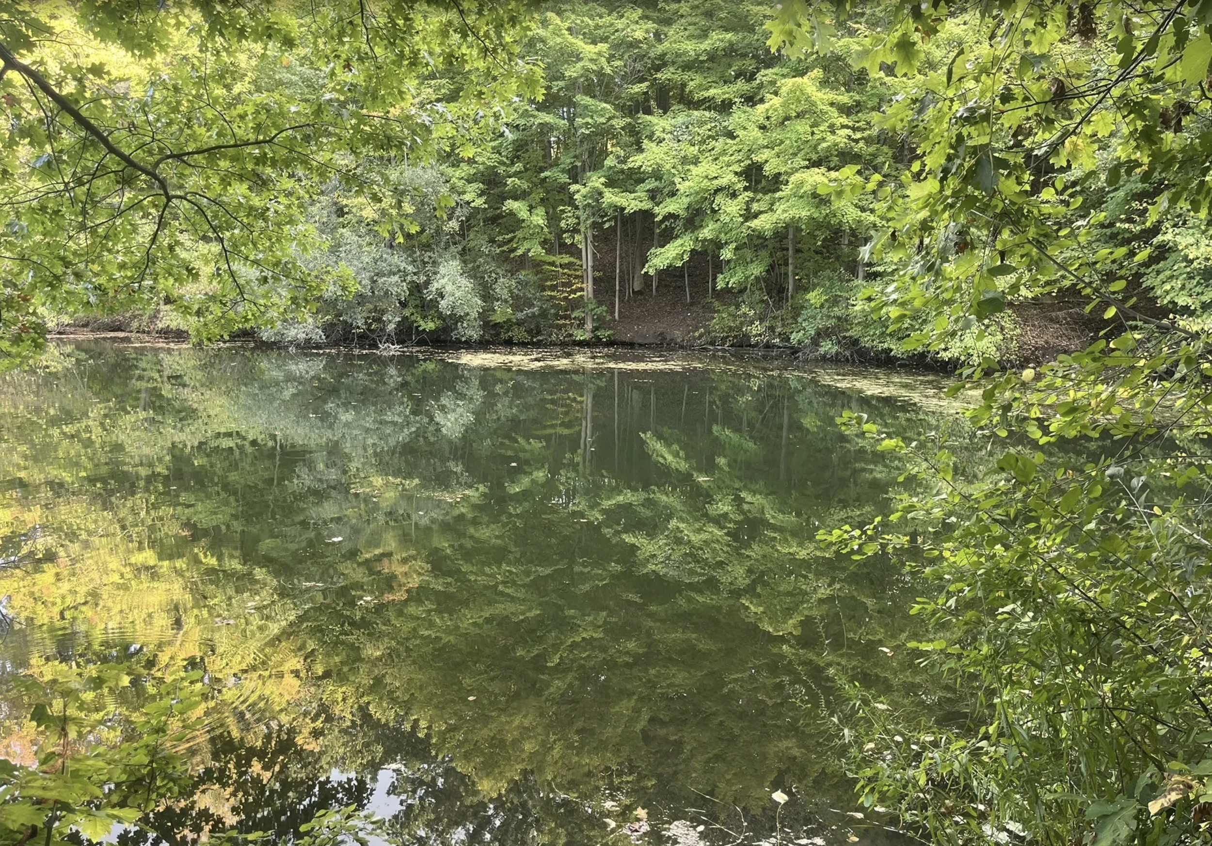 Screenshot 2026-02-28 at 11.03.15 AM.png