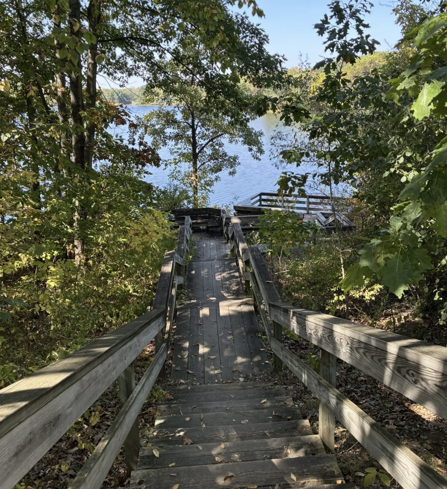 Screenshot 2026-02-28 at 11.03.38 AM.png