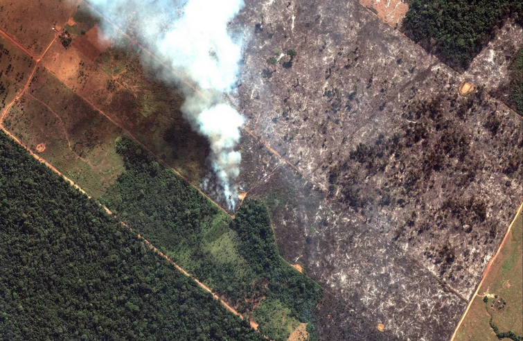 Satellite image 2019 Maxar Technologies
