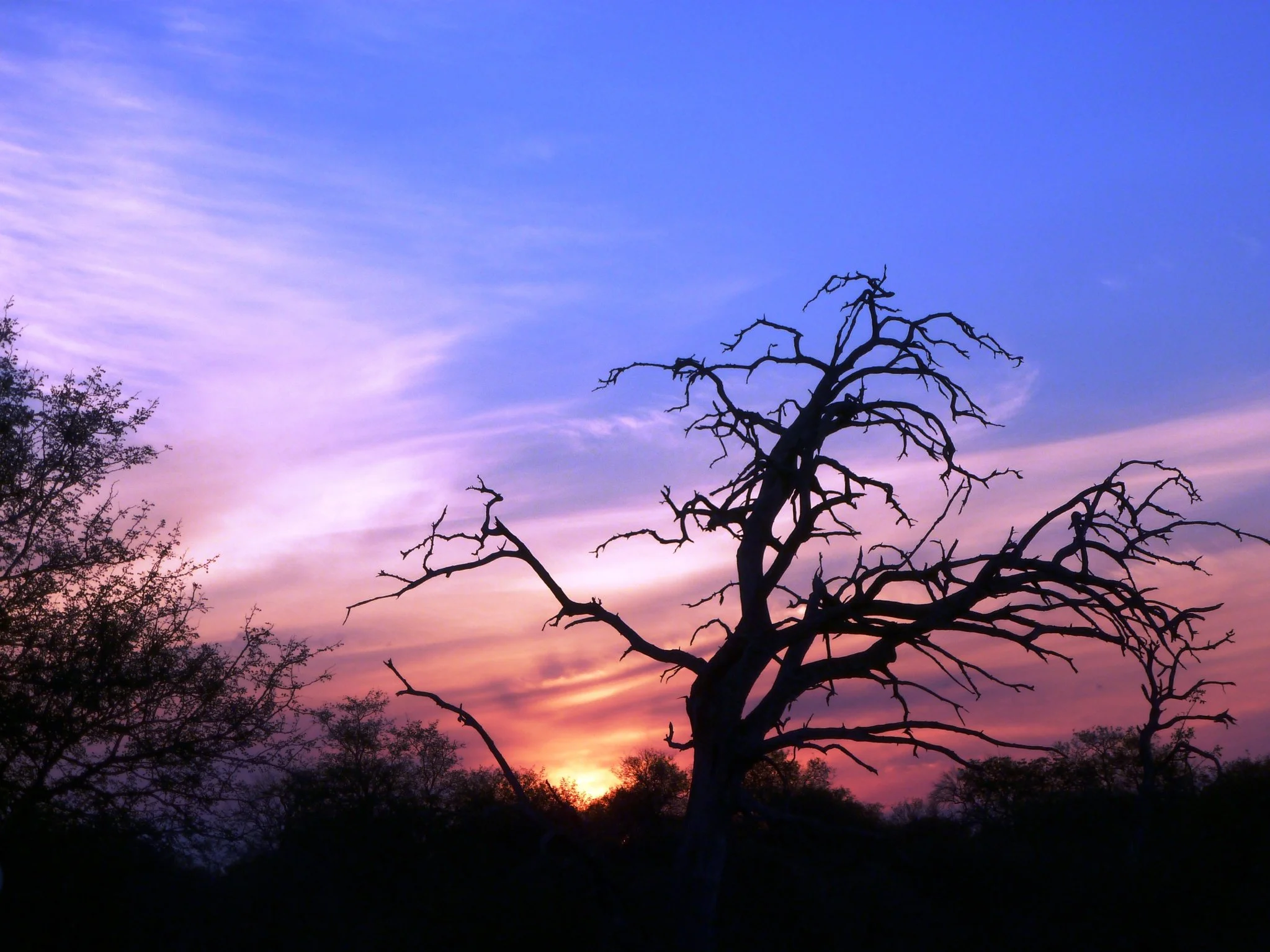 Linda Wilson_Sunset 3.jpg