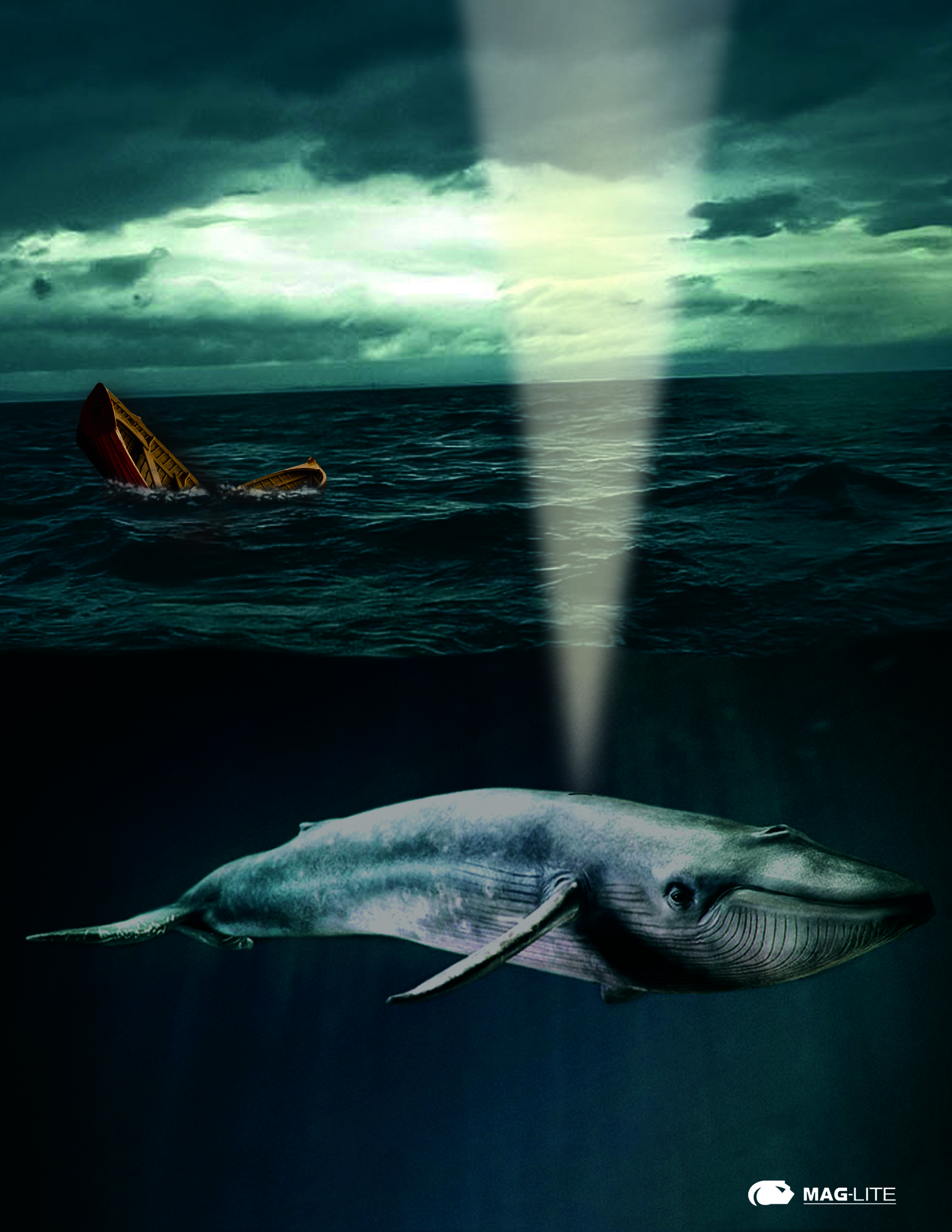 Whale Light.jpg