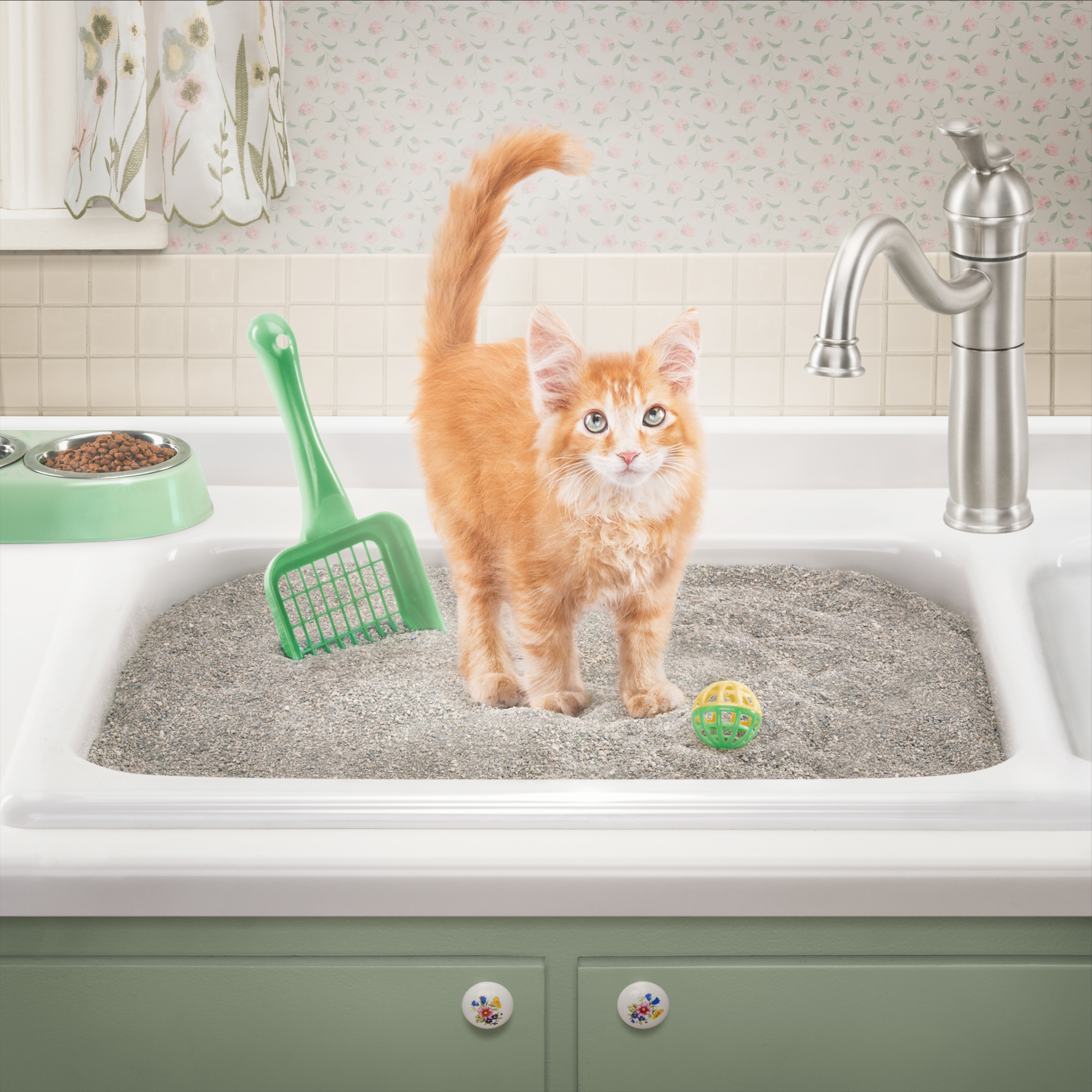 150114_CASCADE-2746_CAT.jpg