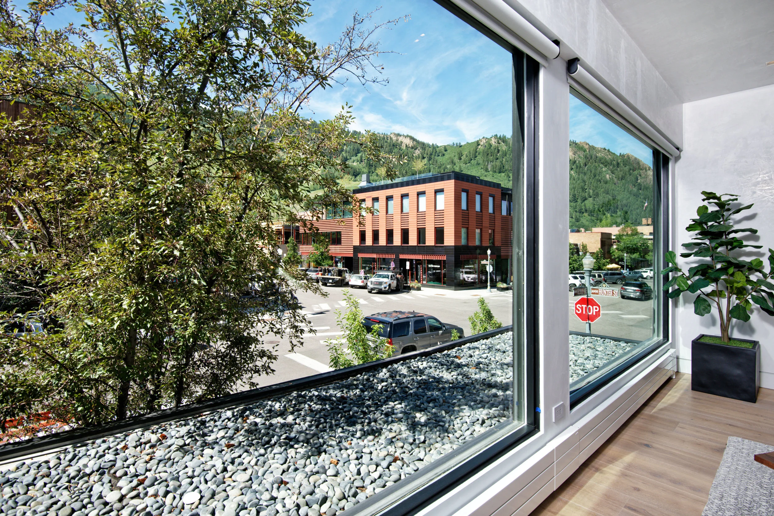 602eHyman_HiRes220.jpg