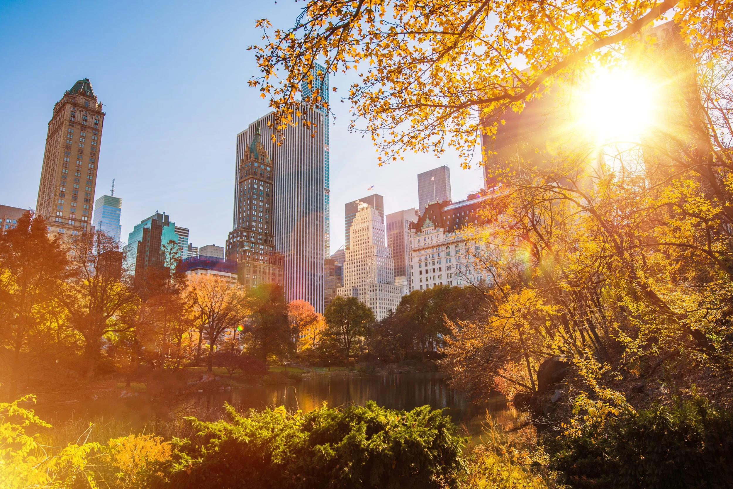New York Central Park.jpeg