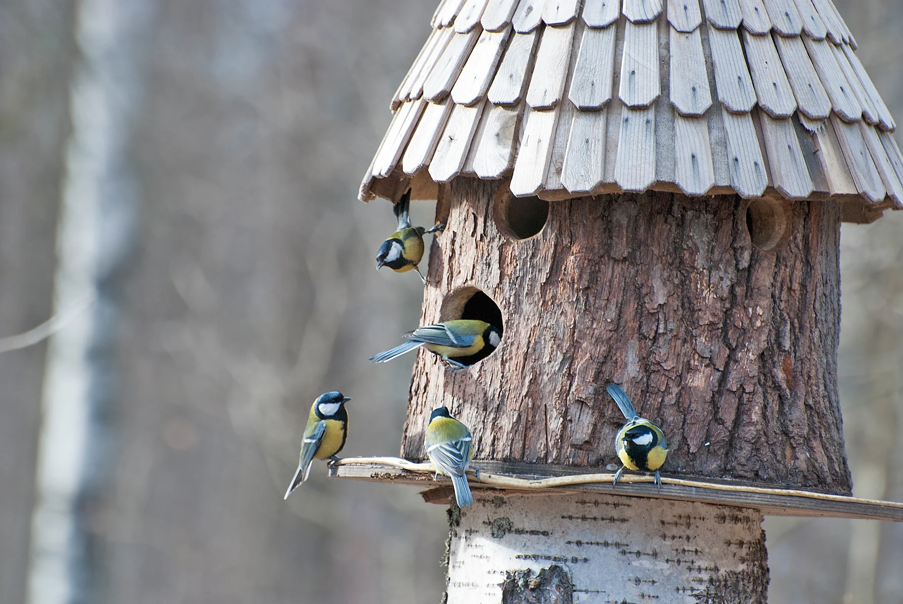 Photo by Ojimorena/iStock / Getty Images