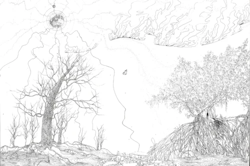 Rebirth Ink on Paper 22 X 30 in View Artsy to purchase