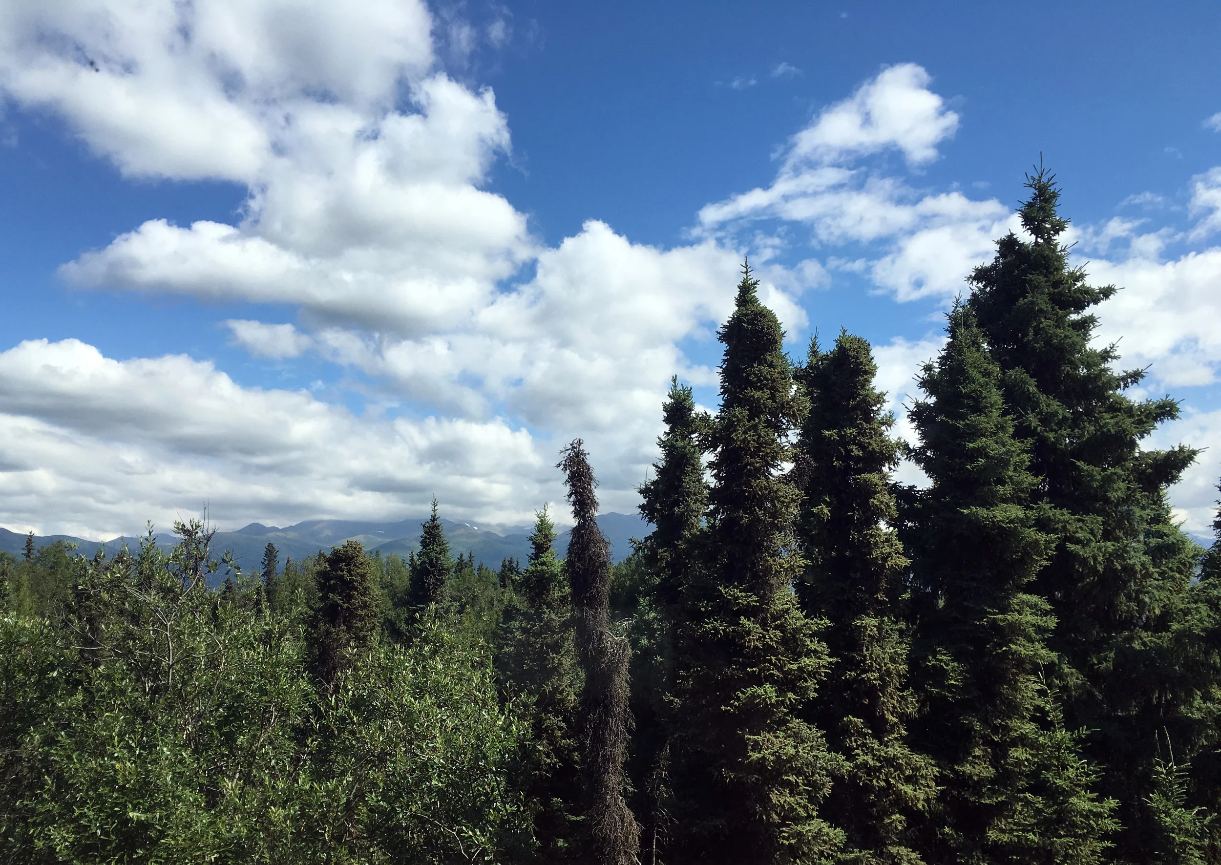 alaska_view.jpg