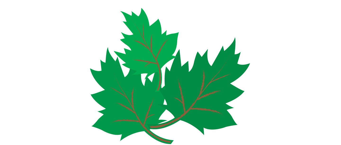 Leaves_3.jpg