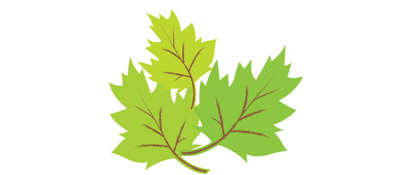 Leaves_5.jpg