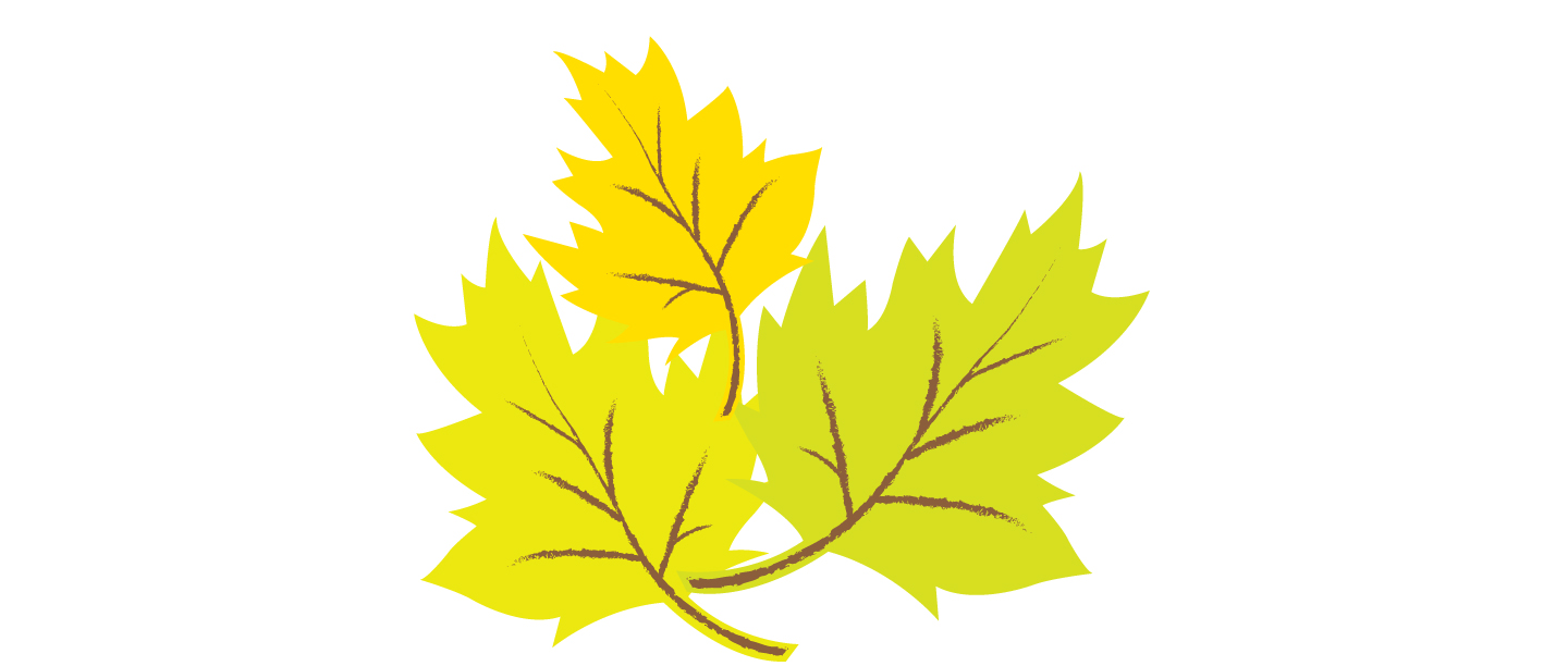 Leaves_6.jpg