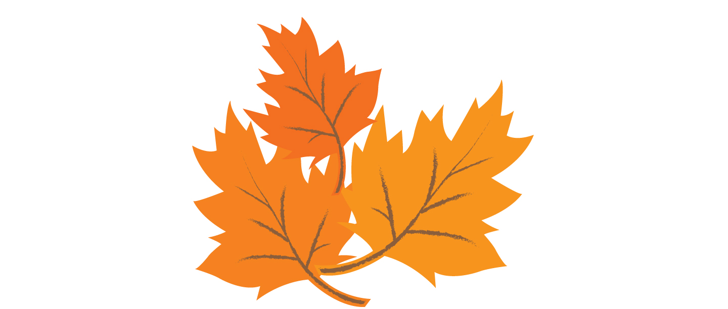 Leaves_8.jpg