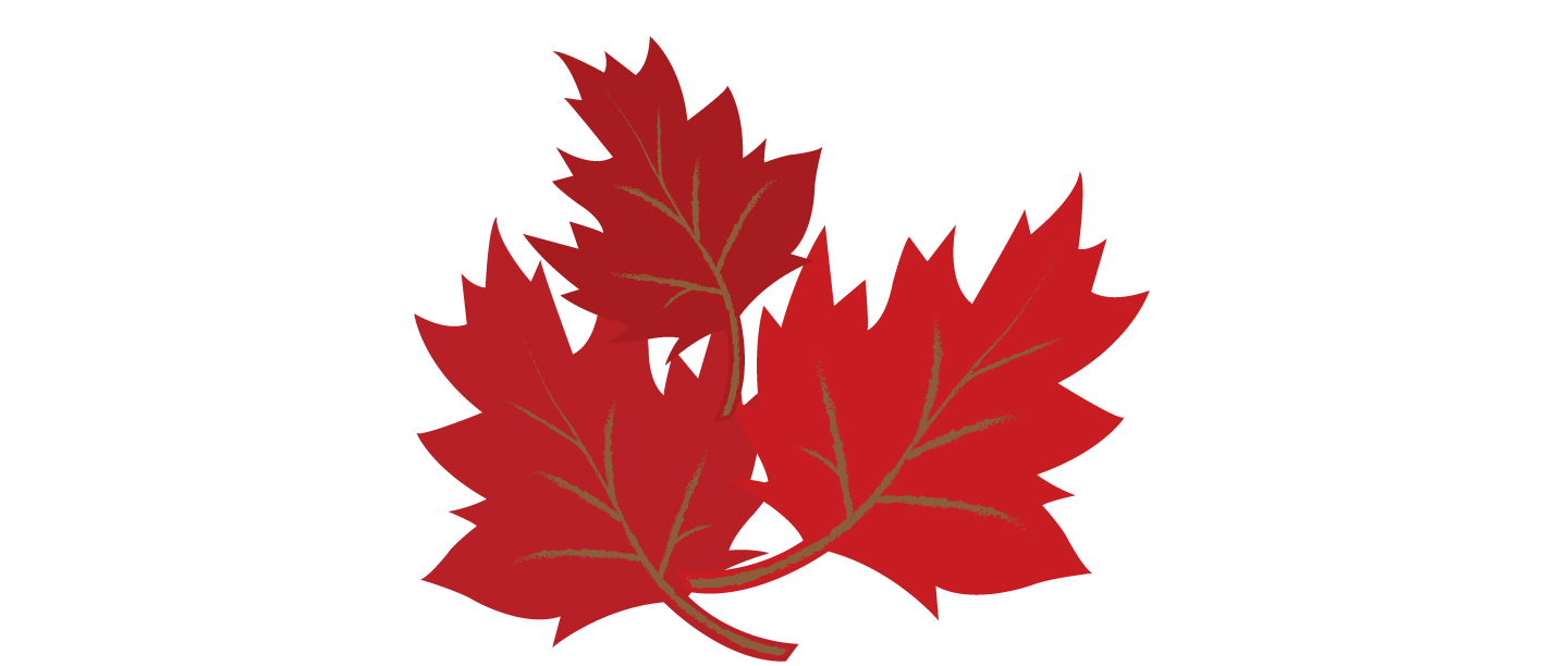 Leaves_10.jpg