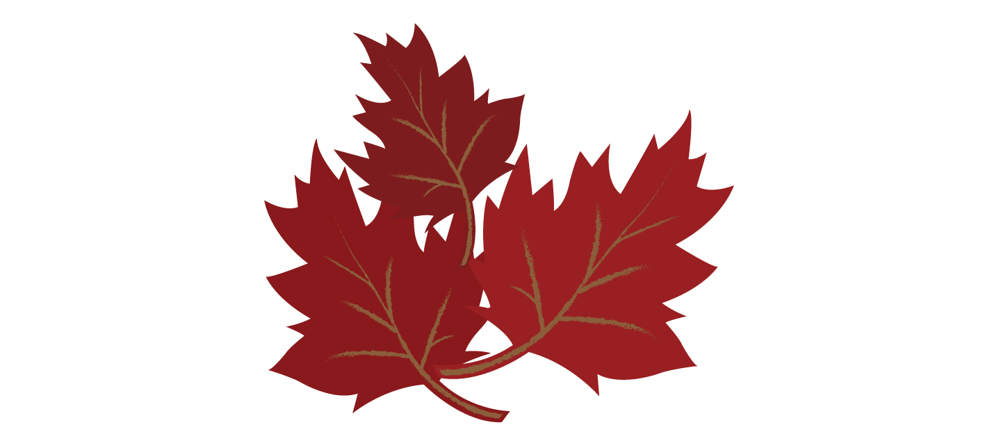 Leaves_11.jpg