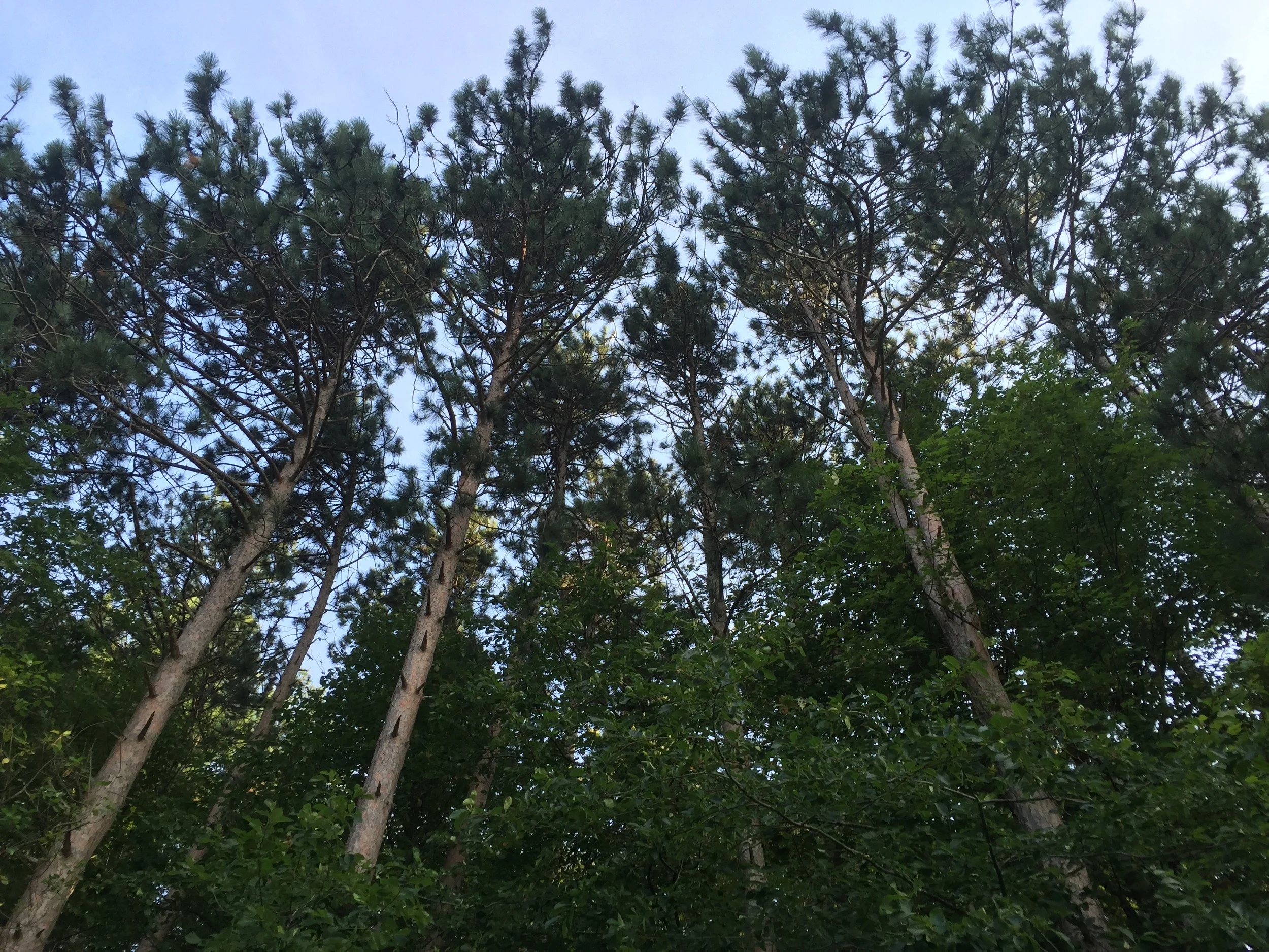 IMG_6322.jpg