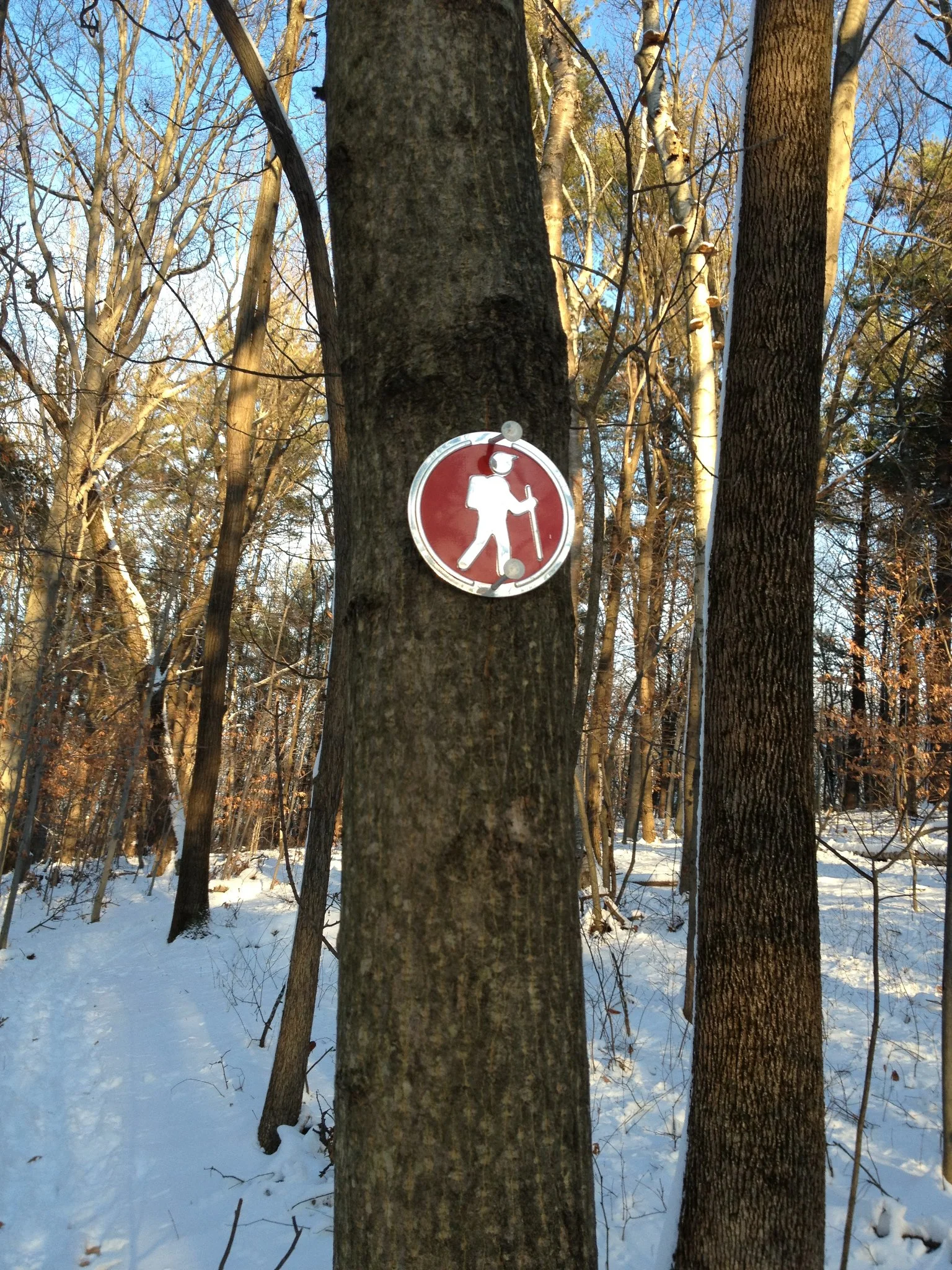 Explore James Swamp