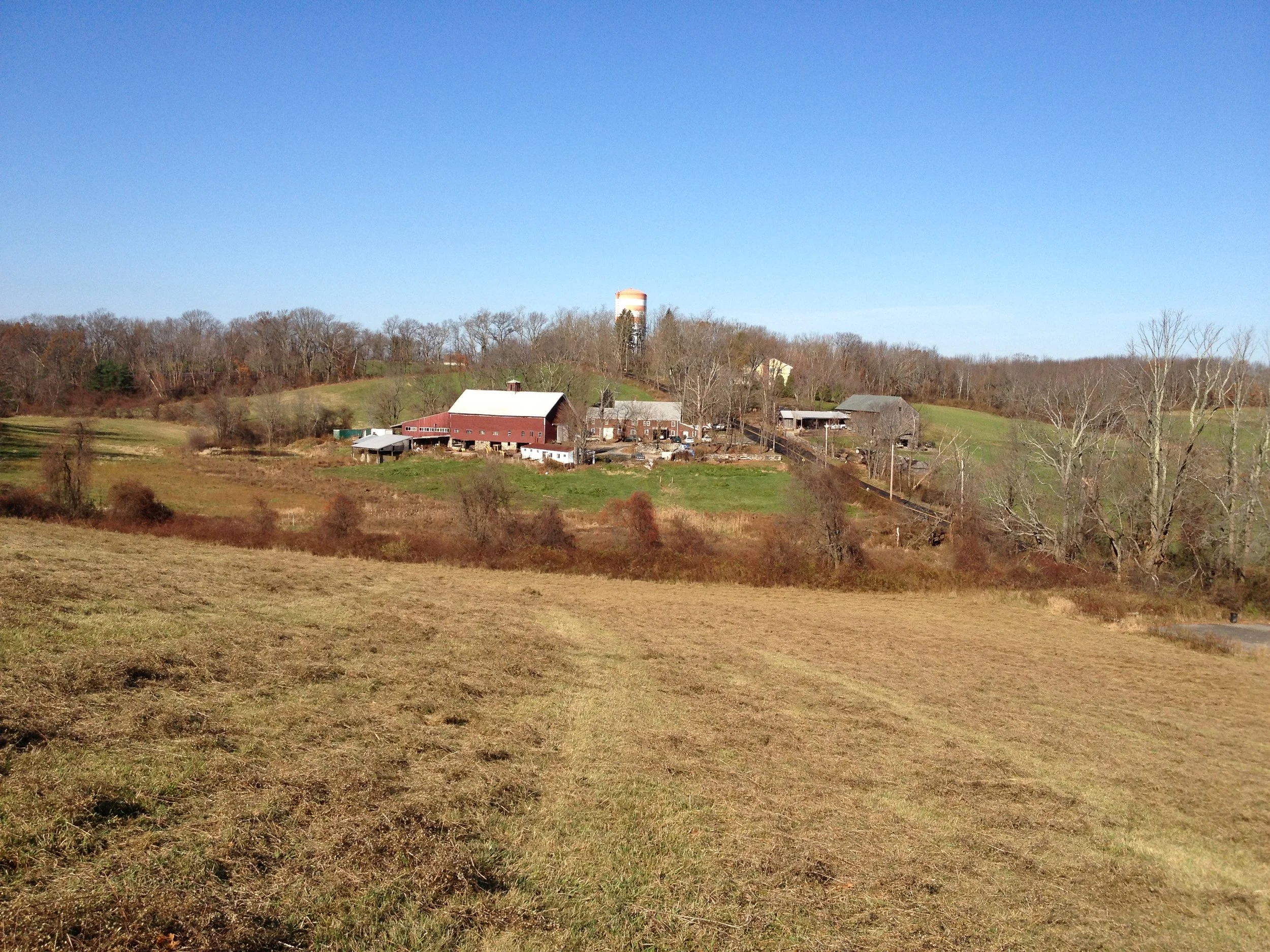 Spring at Mazurenko Farm and Reas Pond