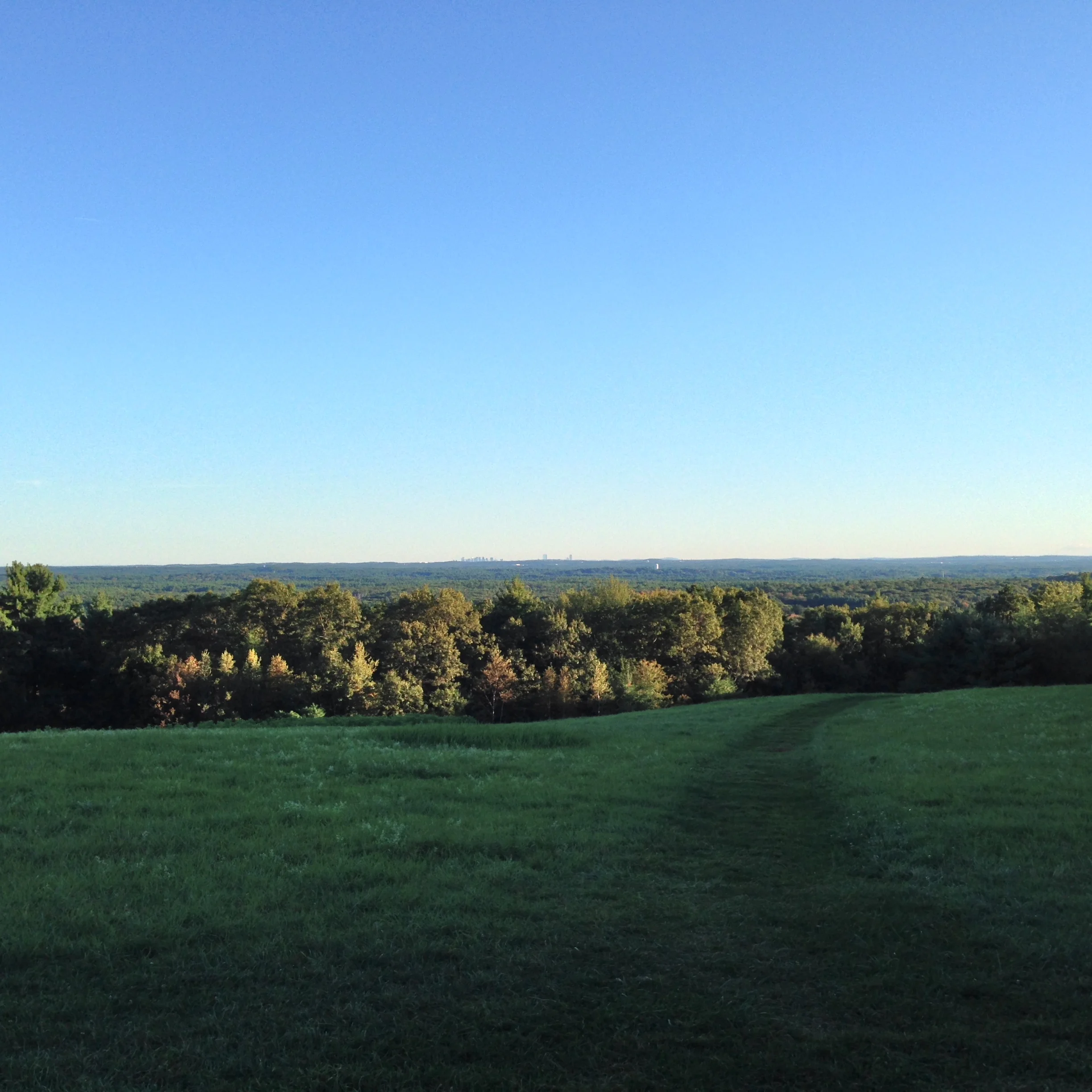 Holt Hill via the Sanborn Trail