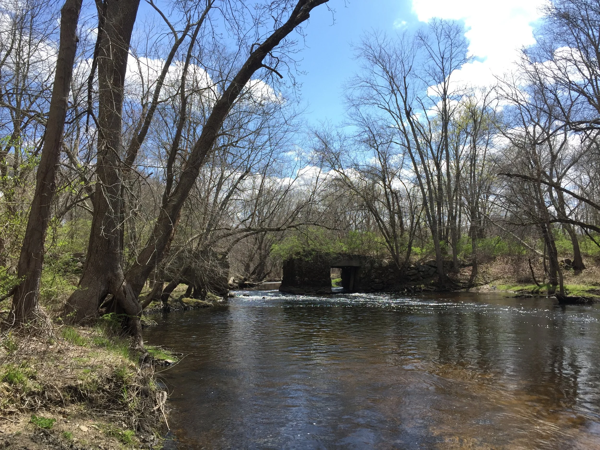 Saturday Trail Work Day at the Shawsheen River Trail