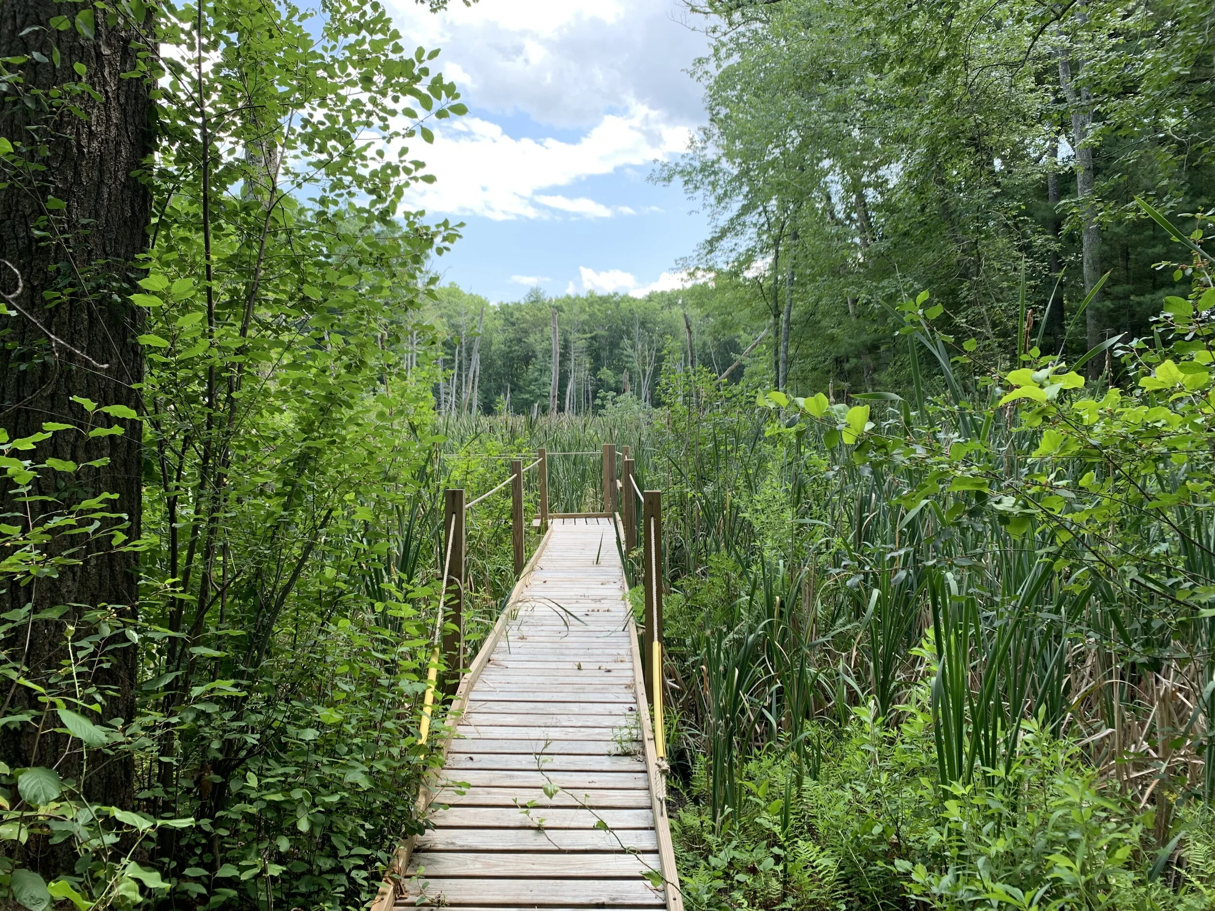 Saturday Trail Work Day on the Bay Circuit