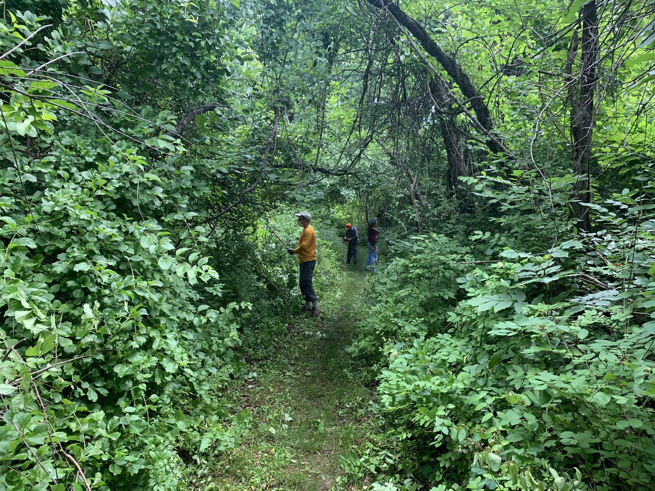 New Date! Sunday Trail Work Day at Mazurenko Farm