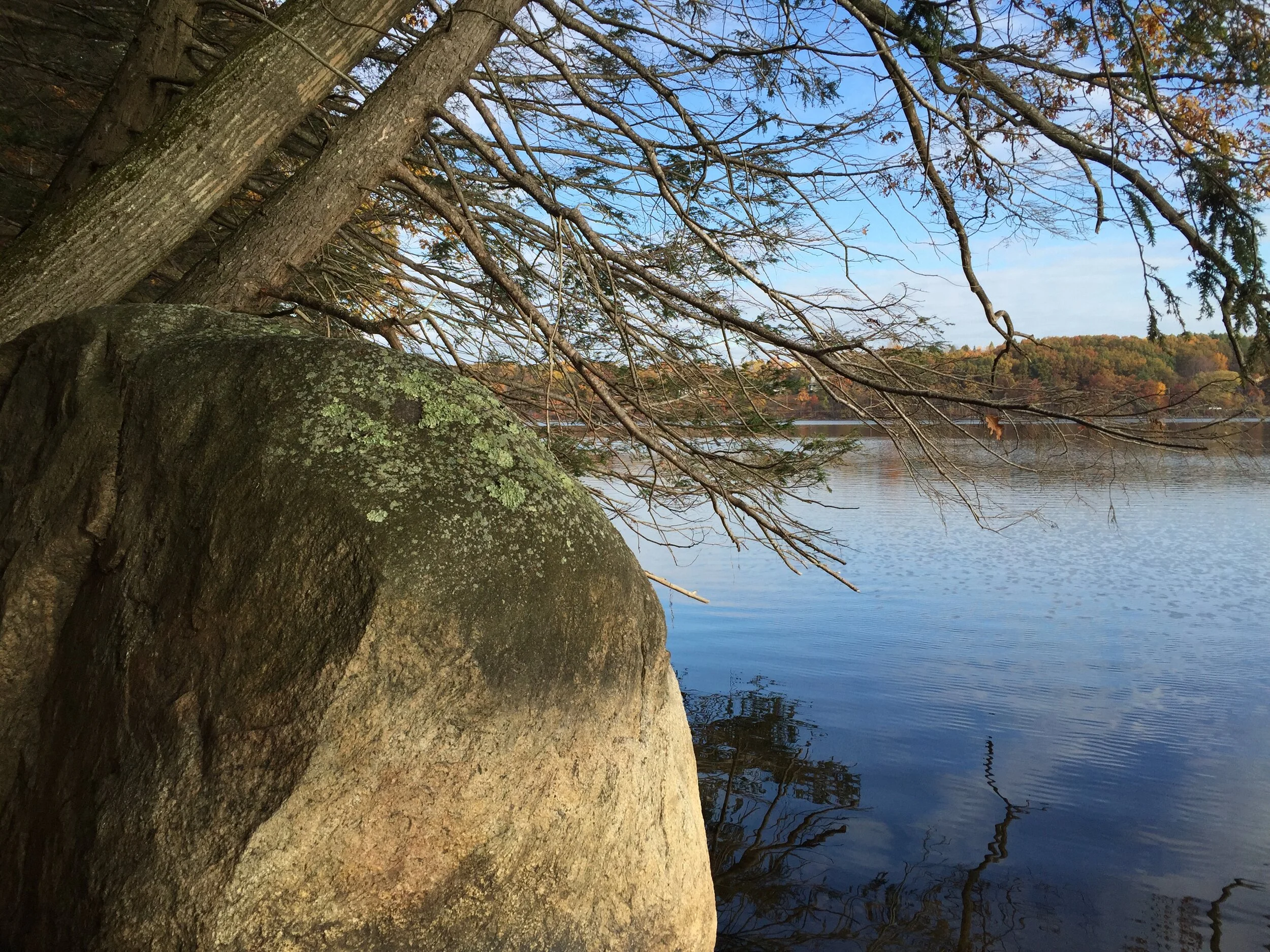 Lake Cochichewick Clean Up Day