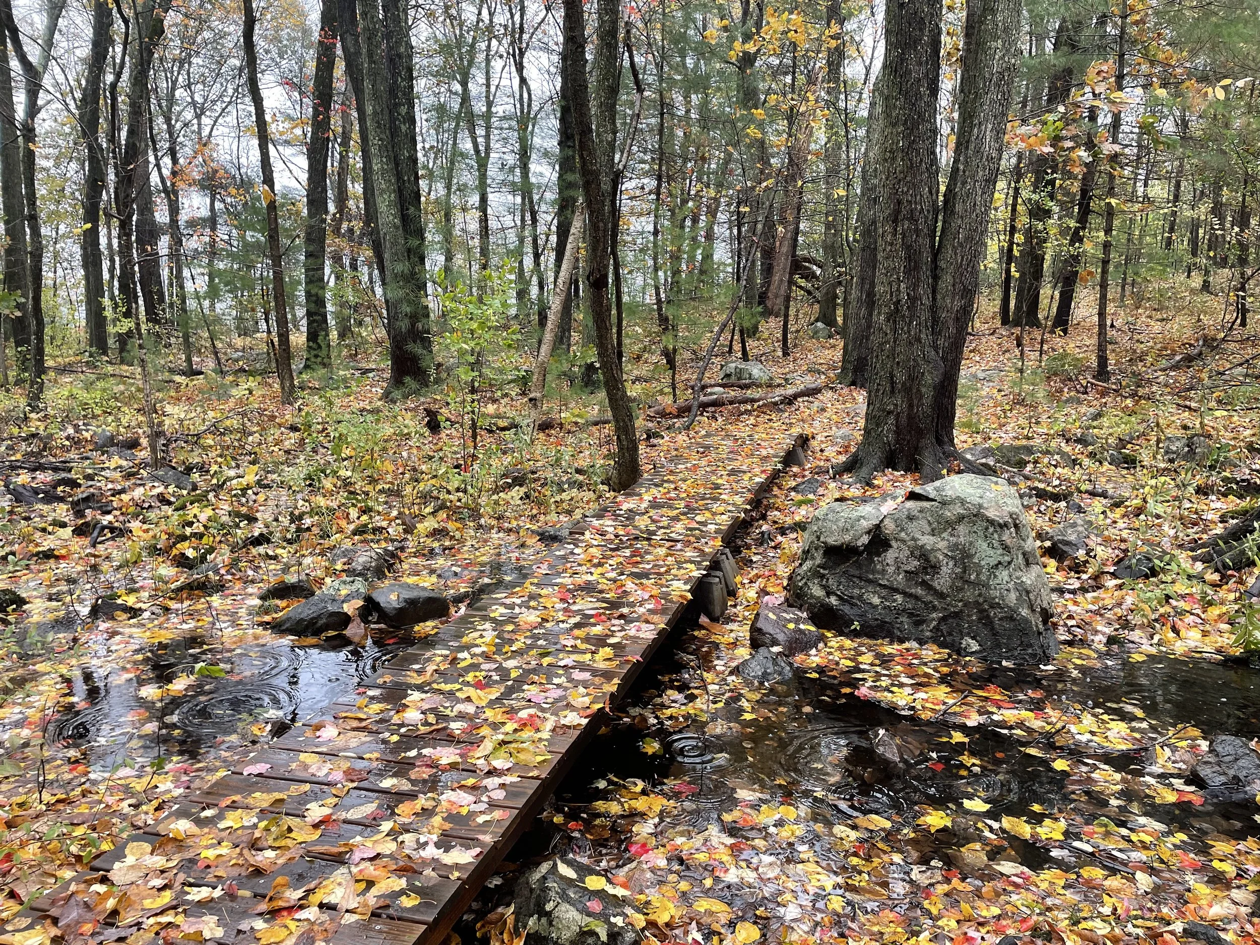 WALK, CLIMB, EXPLORE — North Andover Trails