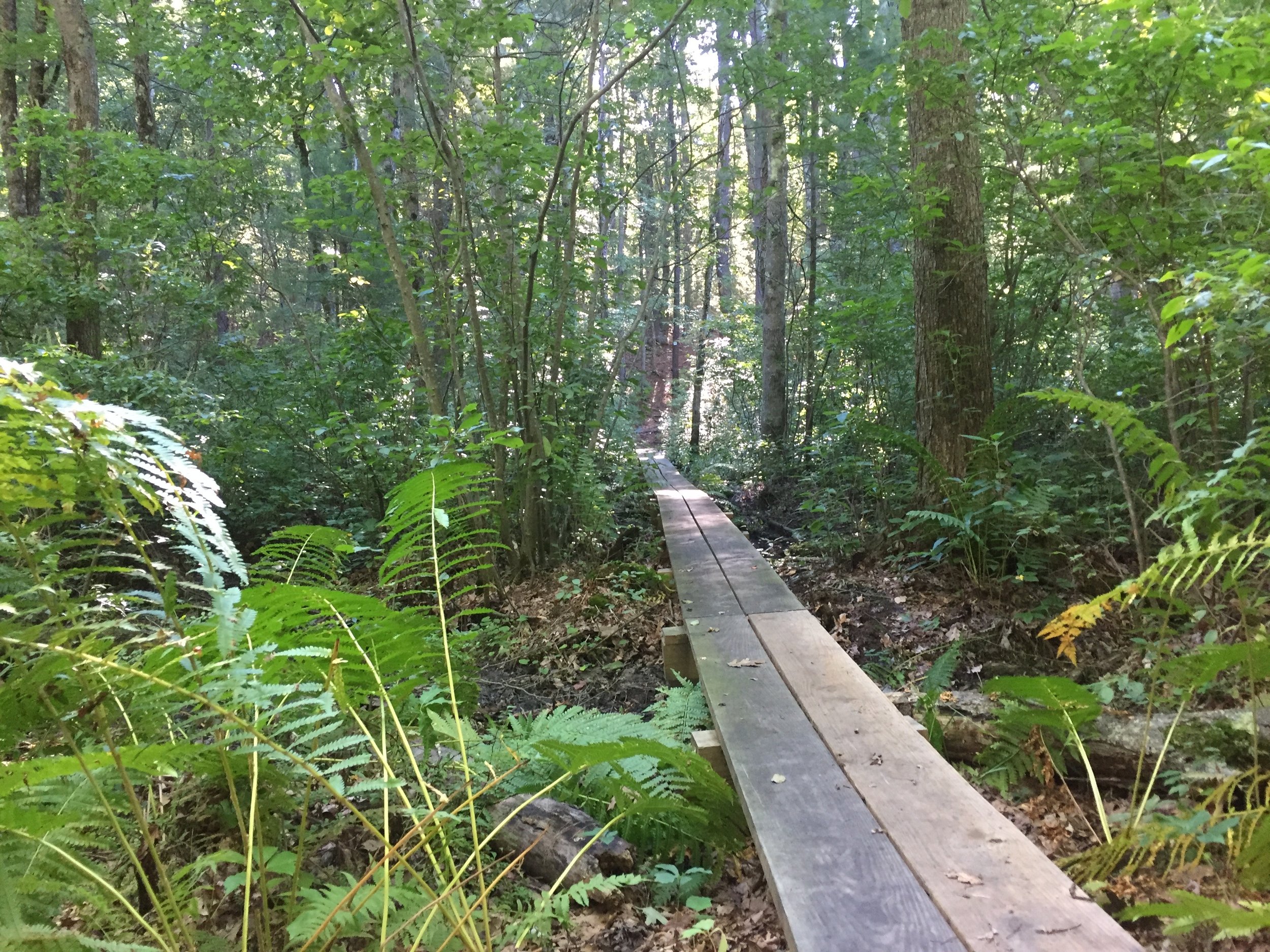 CANCELLED: Explore Town Farm &amp; Farnsworth Reservation