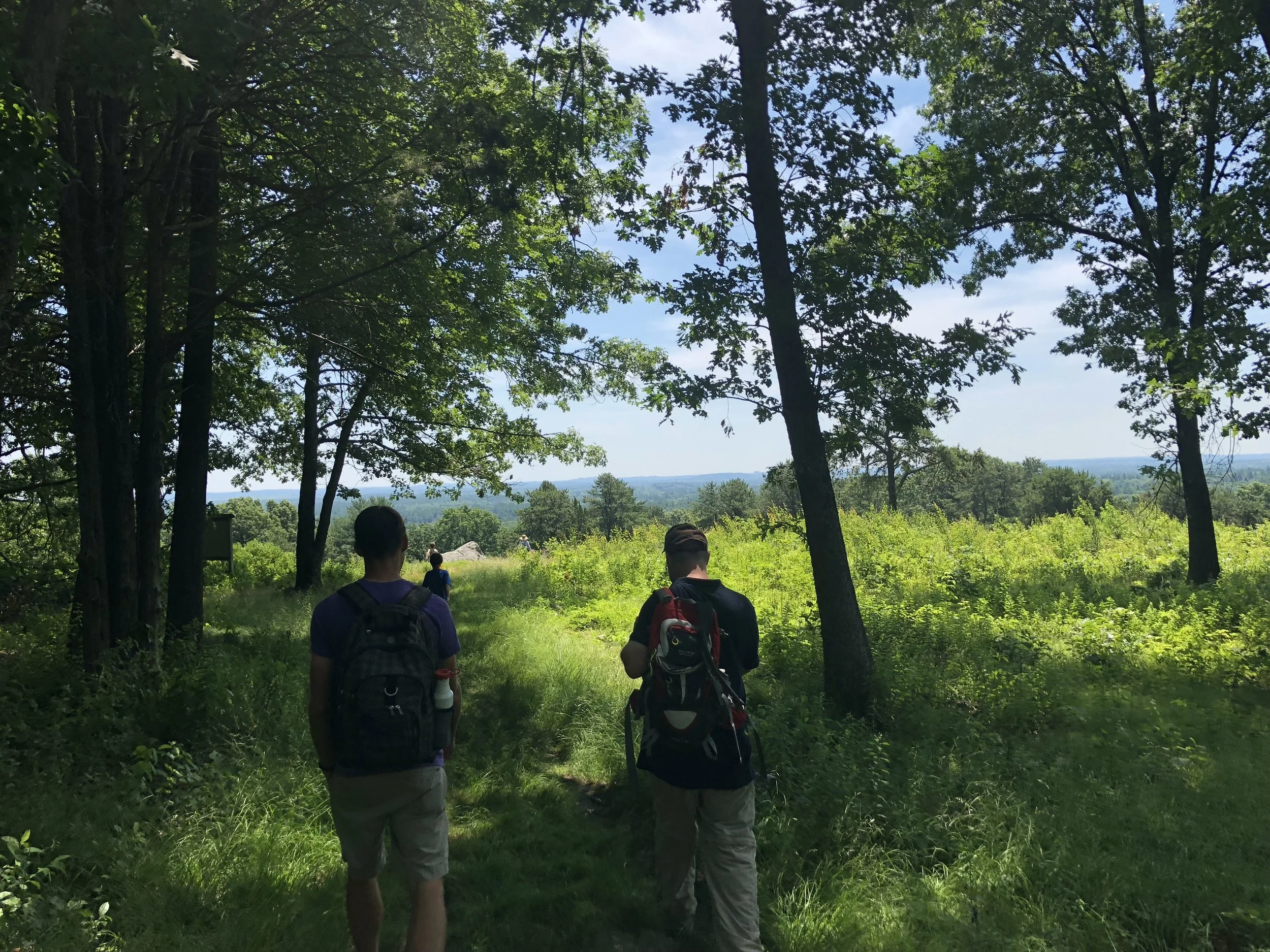 Boston Hill and Ward Reservation
