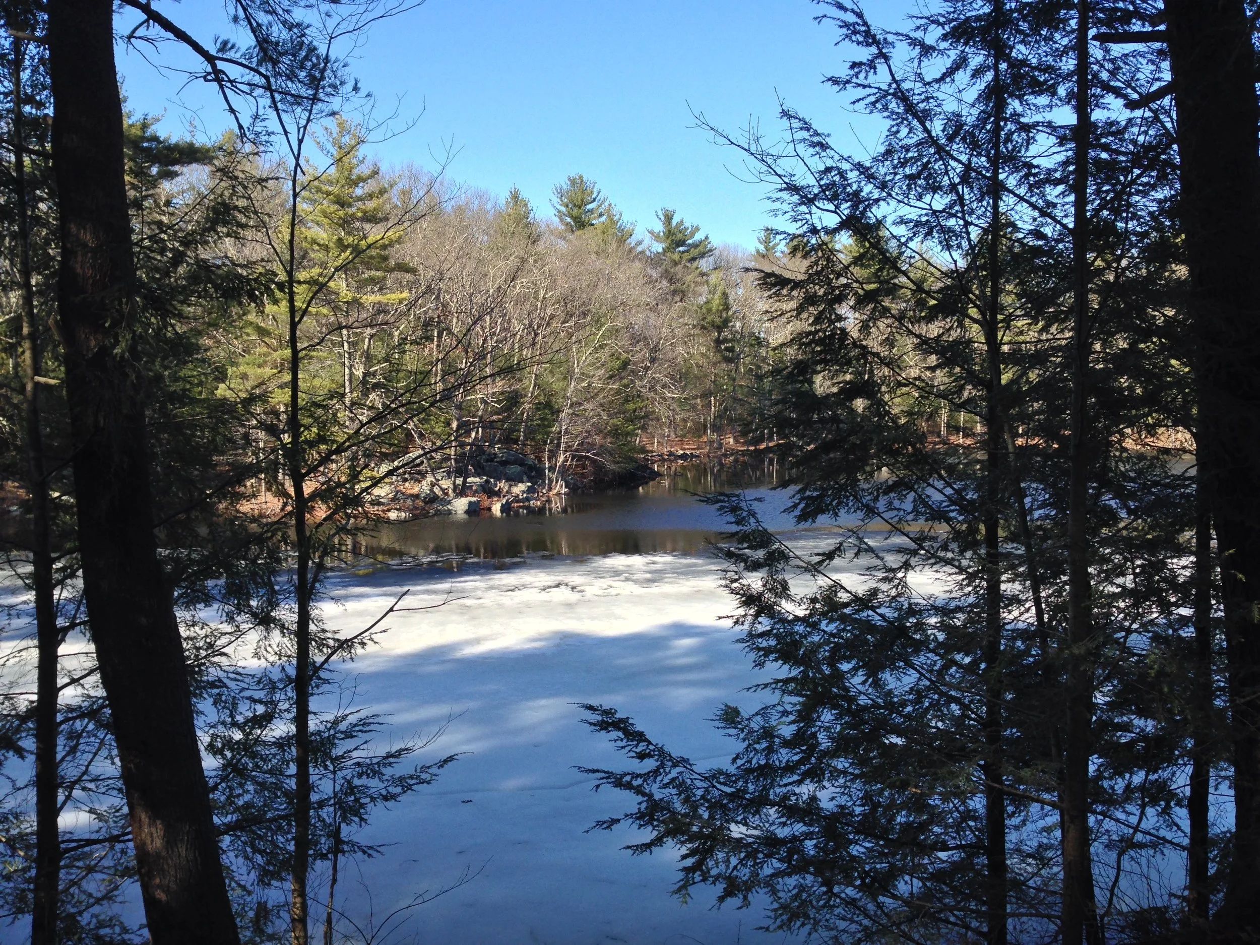 Destination Sudden Pond