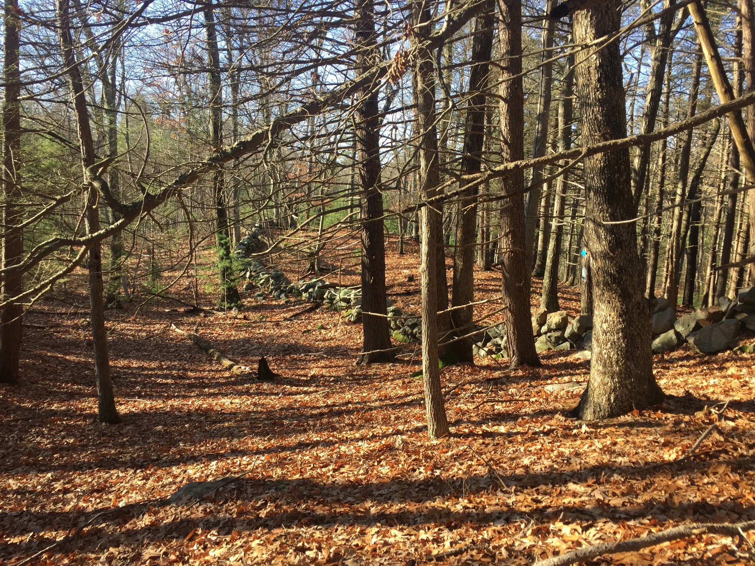 The Lost 50 and the Tri-Town Loop