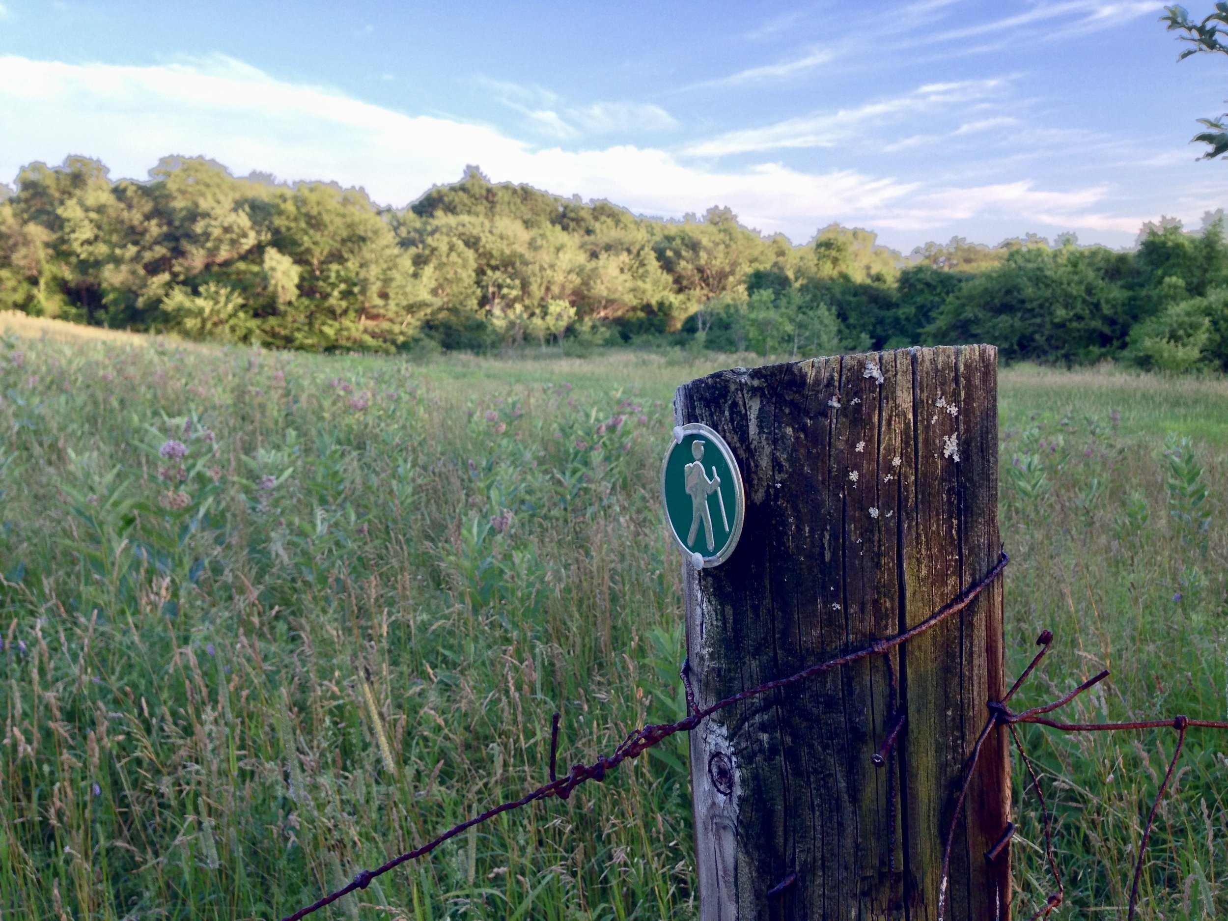 Saturday Trail Work Day at Foster Farm
