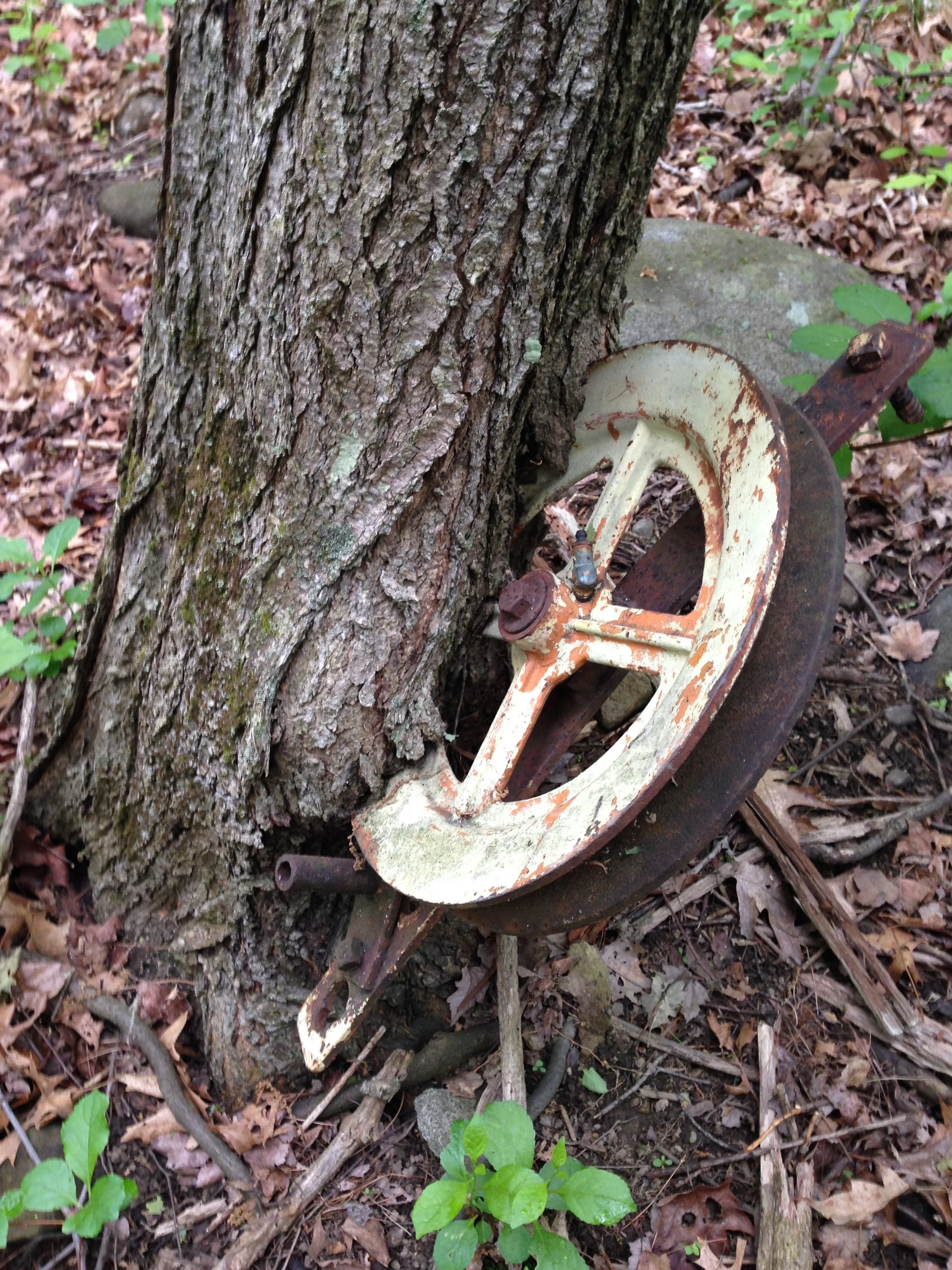Saturday Trail Work Day at Boston Hill (New Location!)