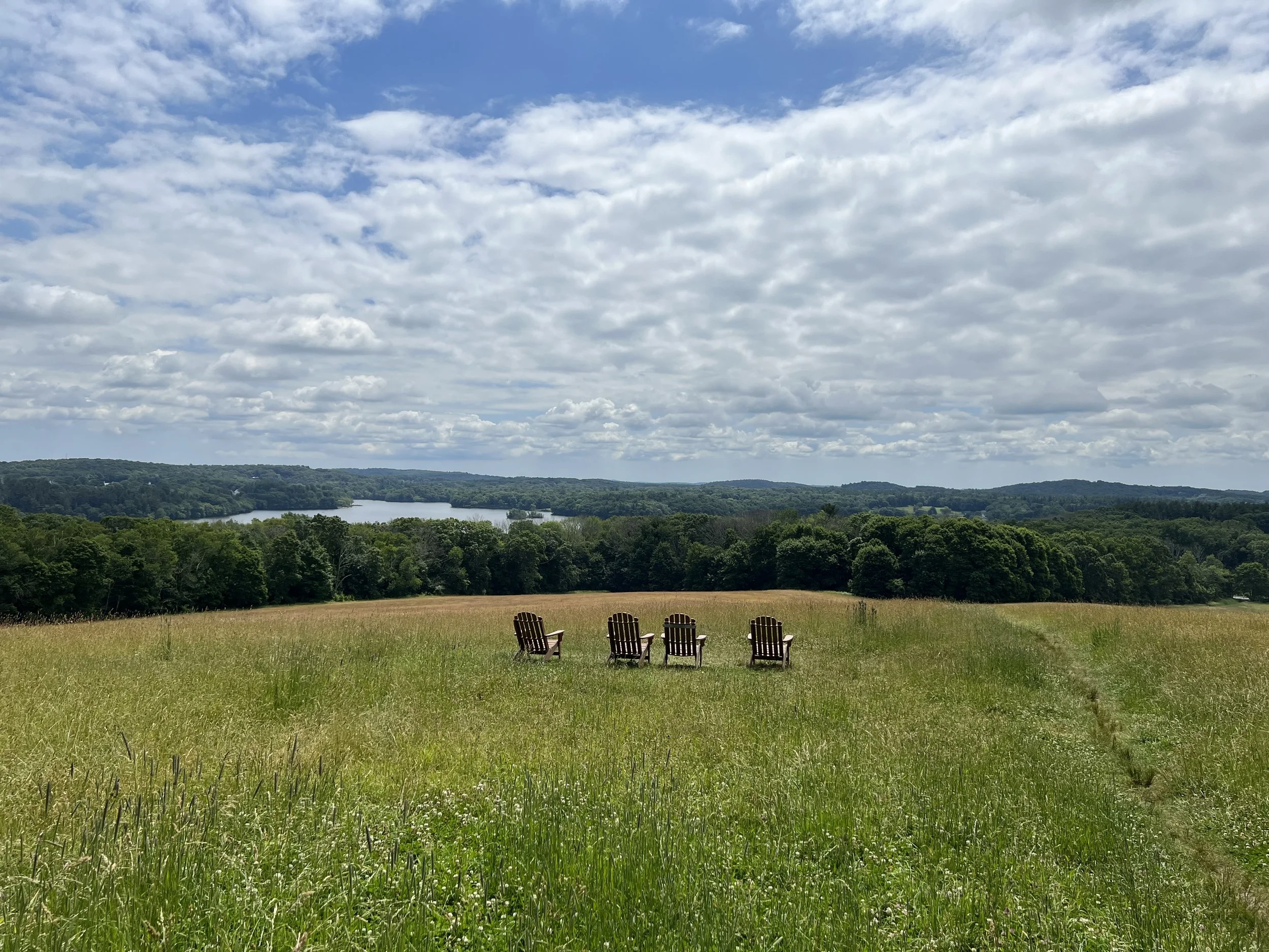 Weir Hill and Osgood Hill Summer Adventure