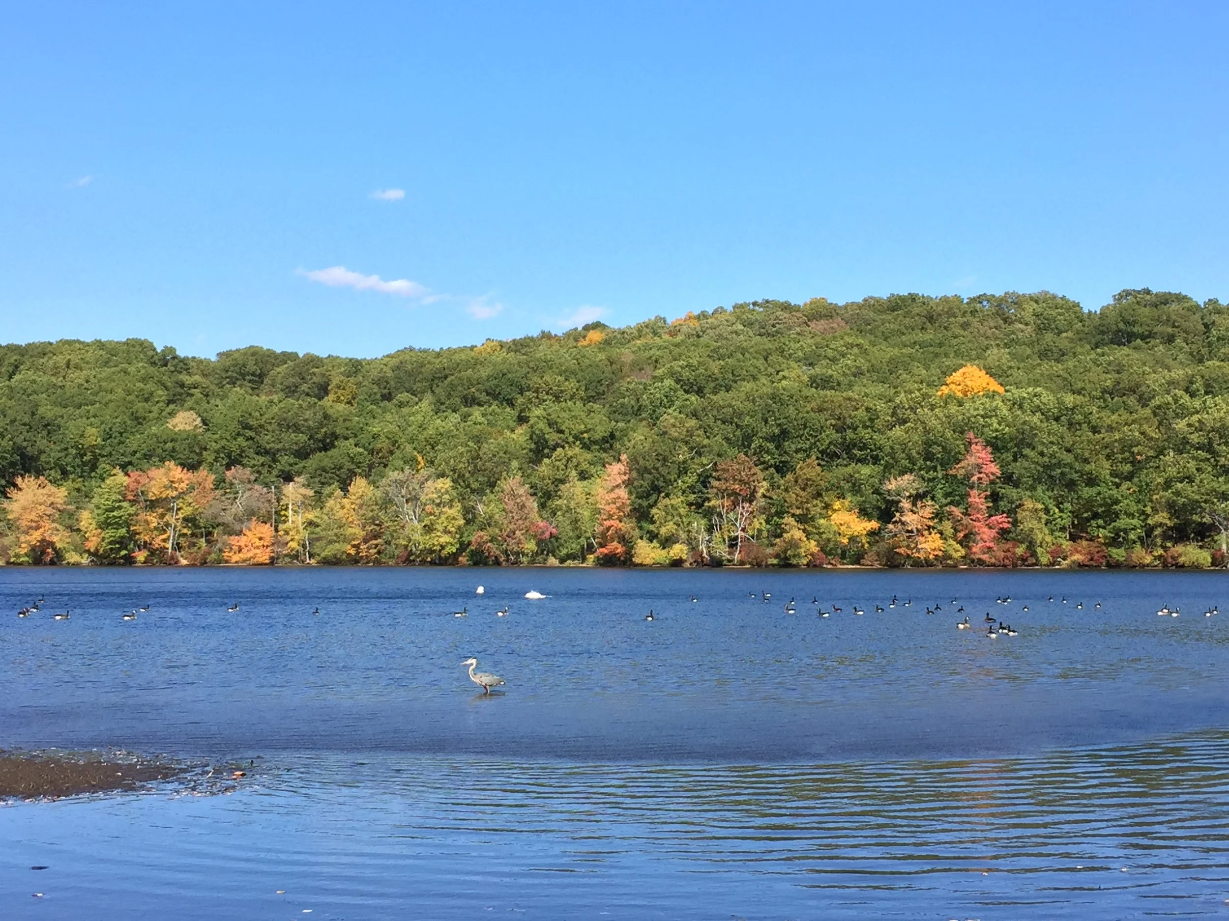 The Stevens to Stevens Trail History Hike