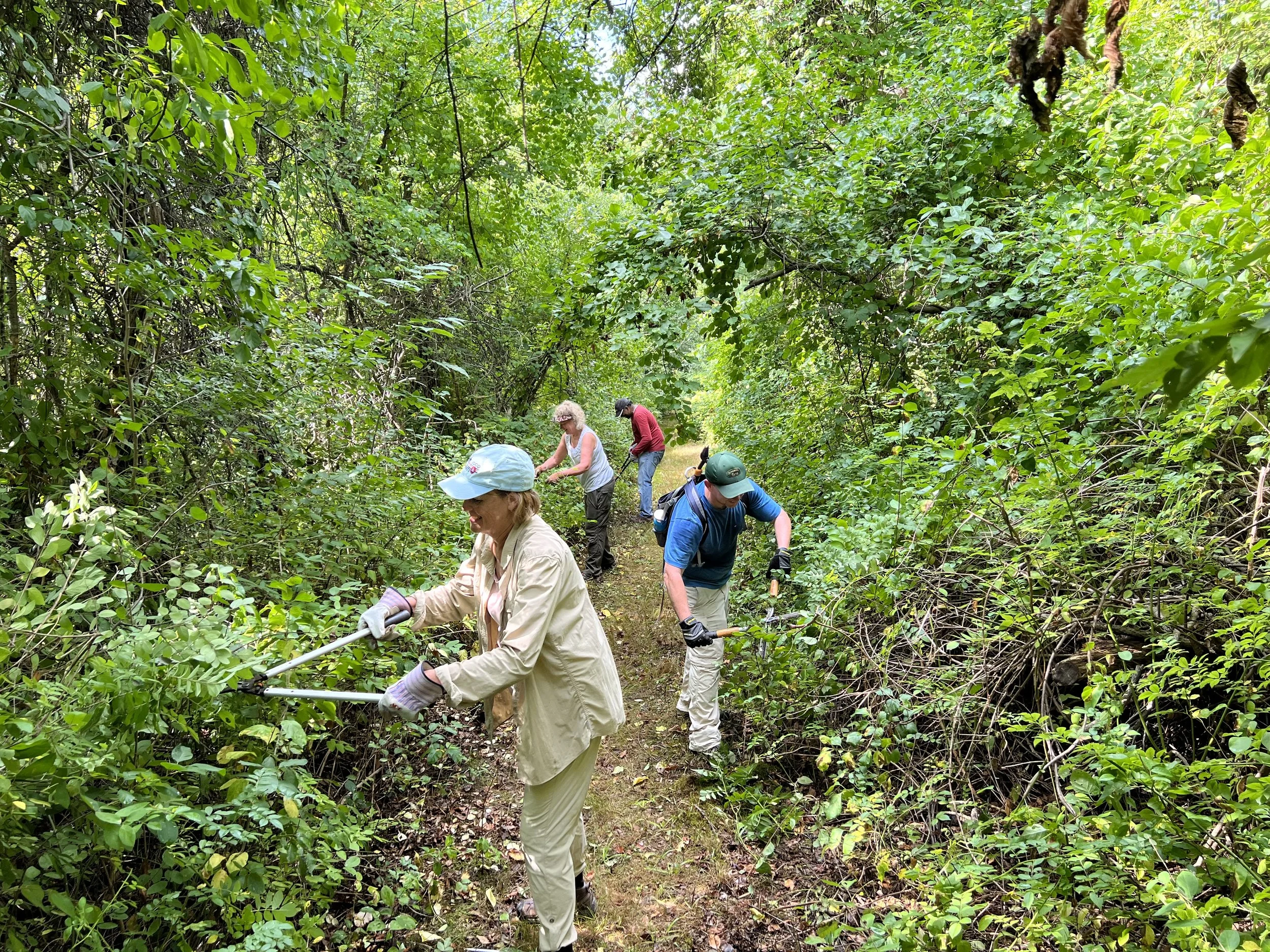 Saturday Trail Work Day at Mazurenko Farm