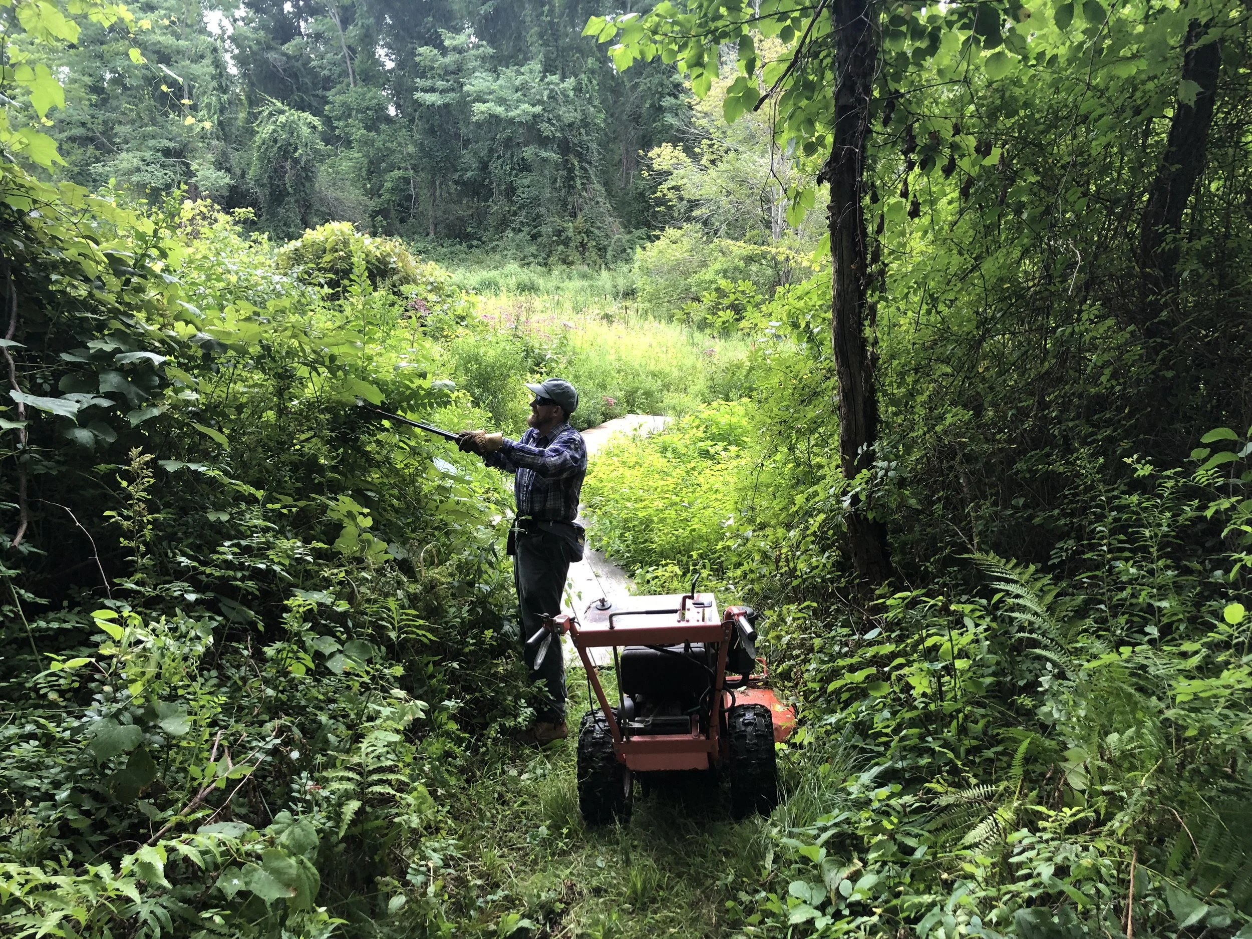 Saturday Trail Work Day at Mazurenko Farm