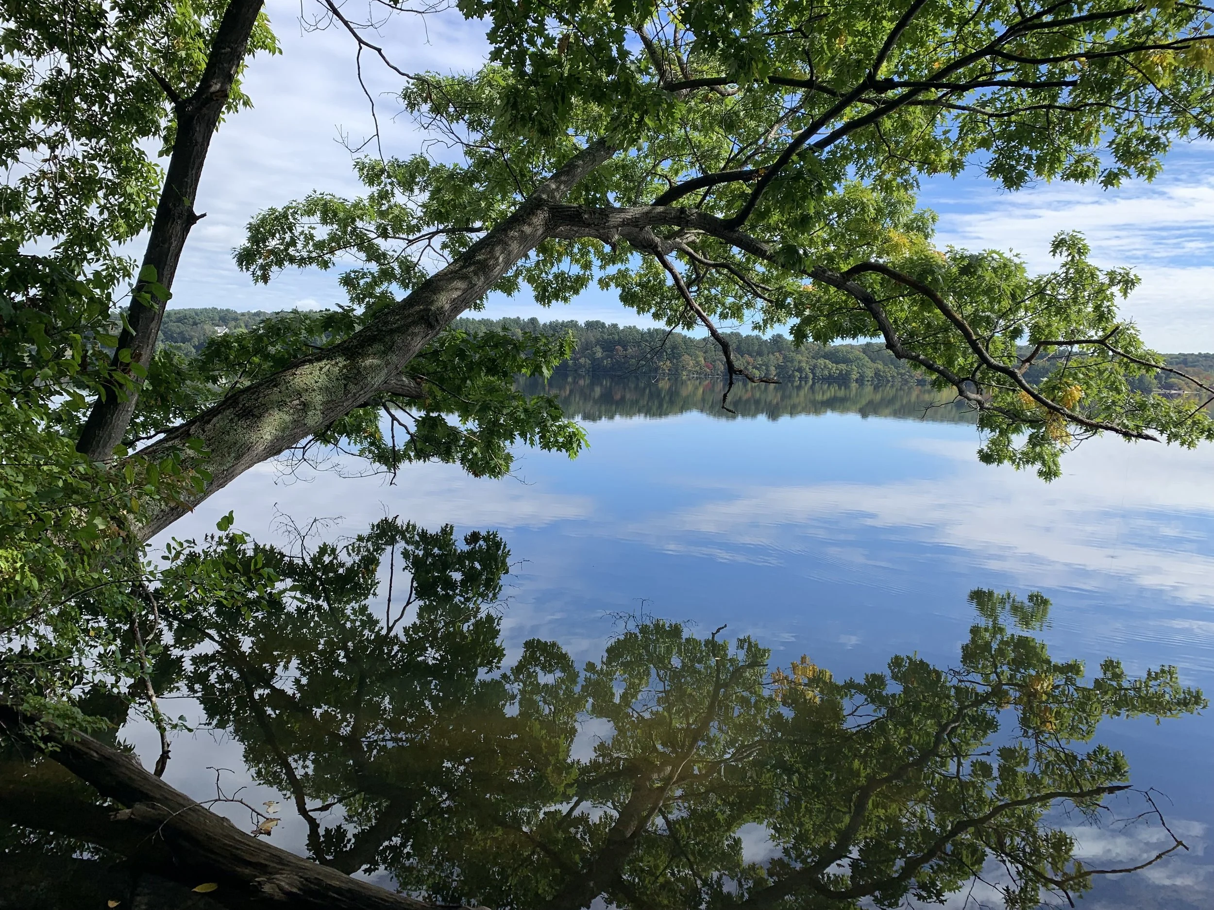Lake Cochichewick Clean Up 