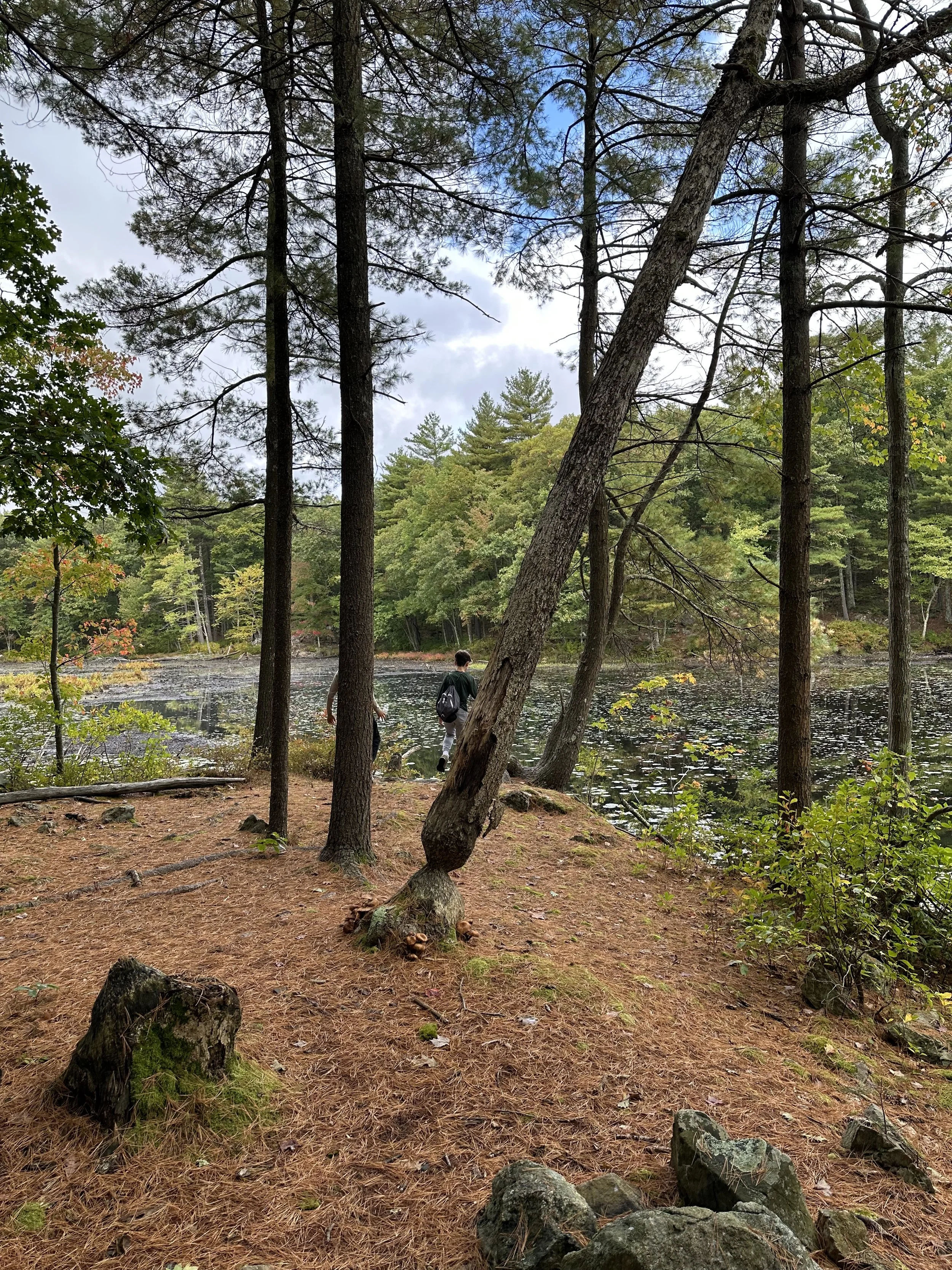 Destination Salem Pond