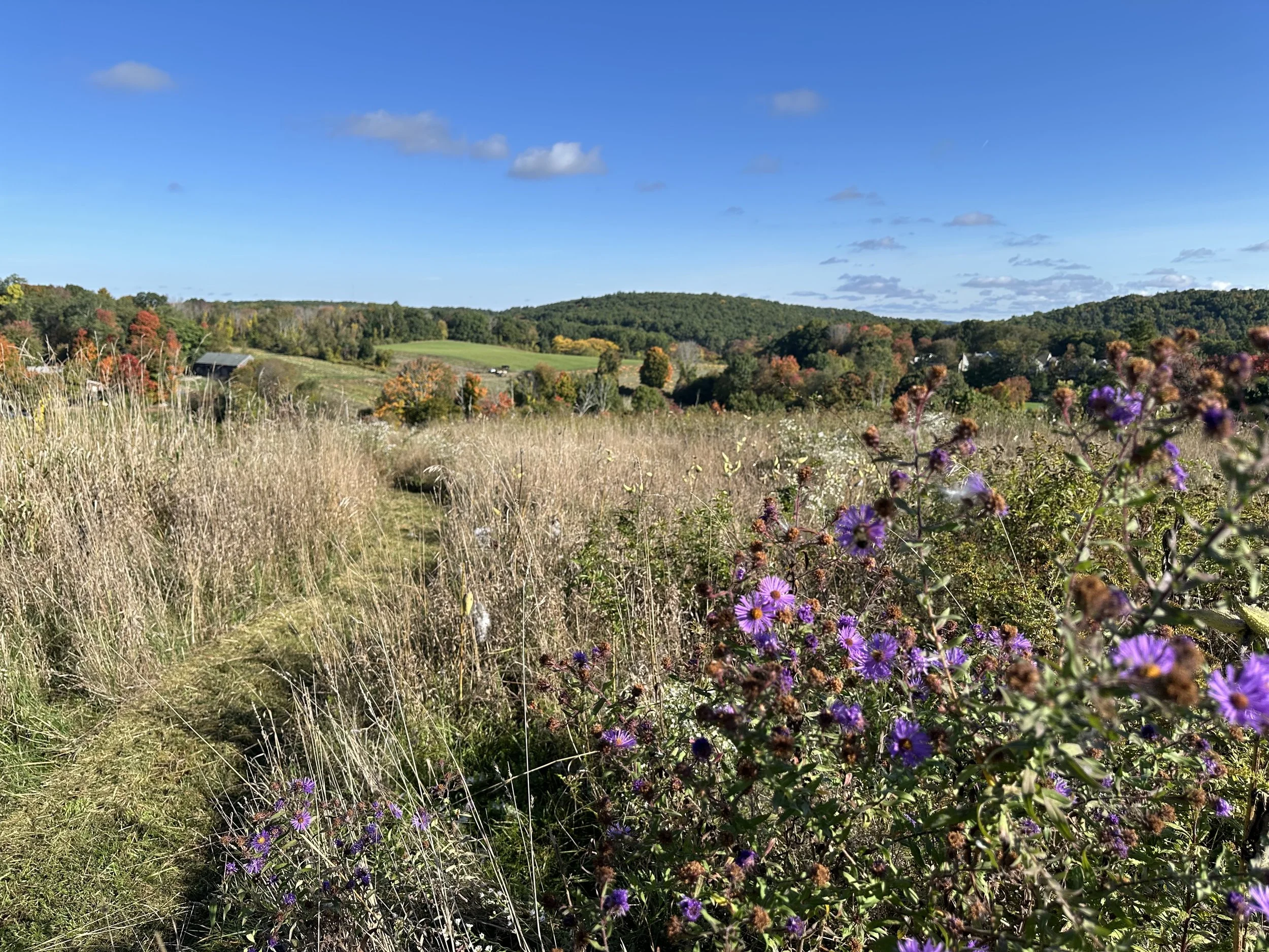 Fall at Mazurenko Farm and Carter Hill